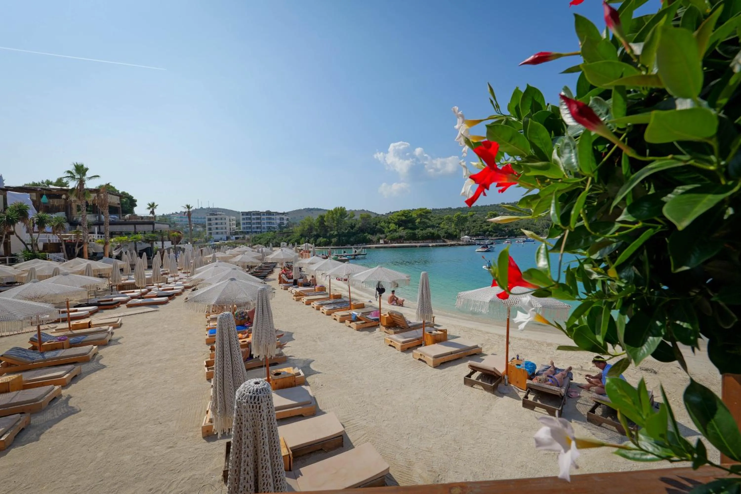 Beach in HOTEL DENOEL