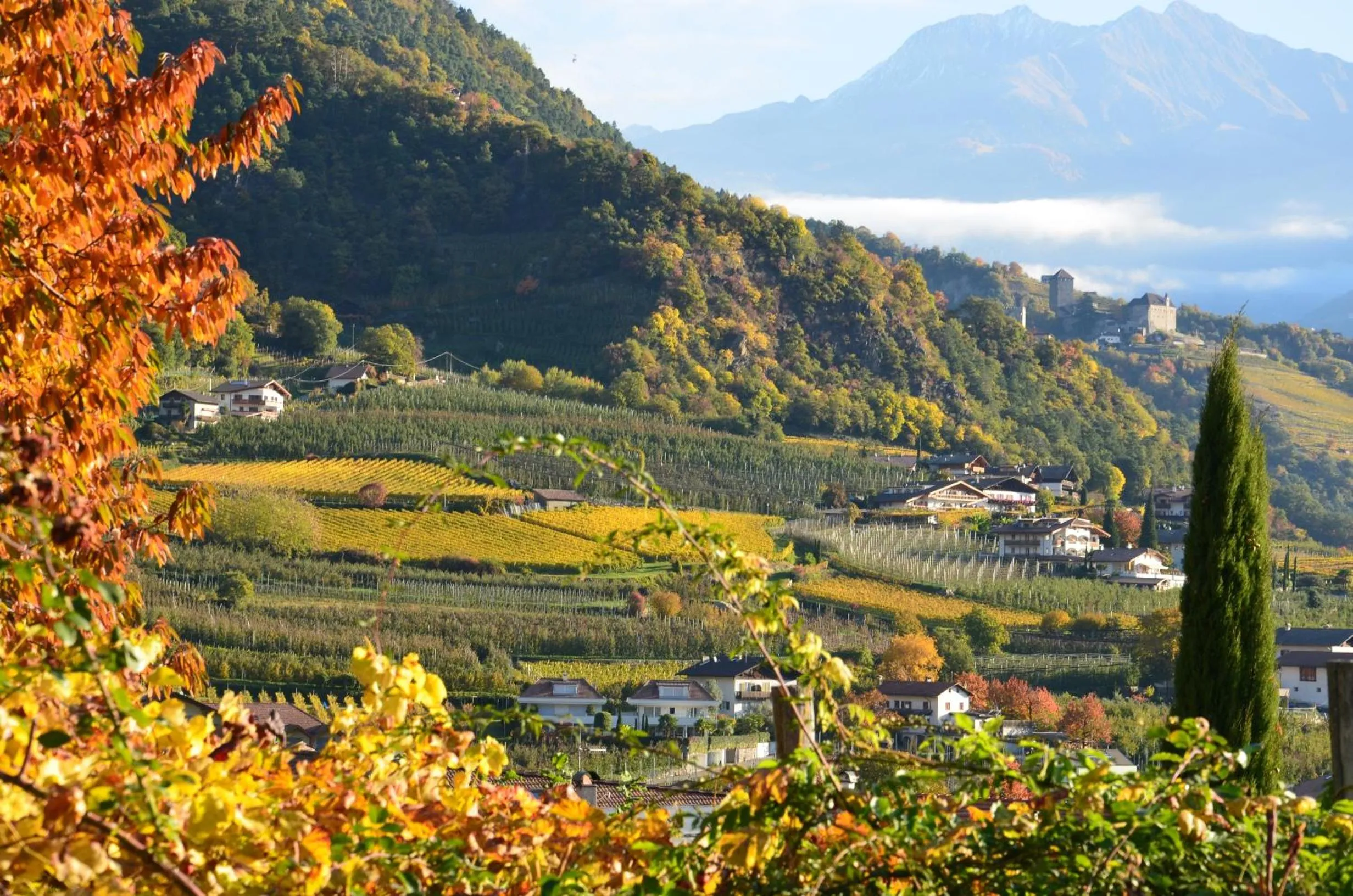 Garden view in Obermaratscher Apartments Residence