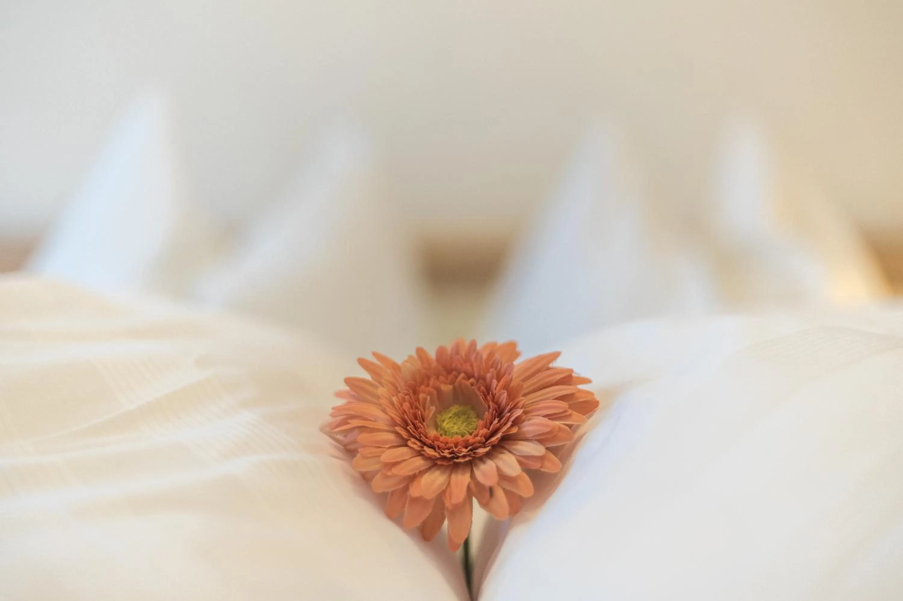 Decorative detail, Bed in Residence Ortlerhof