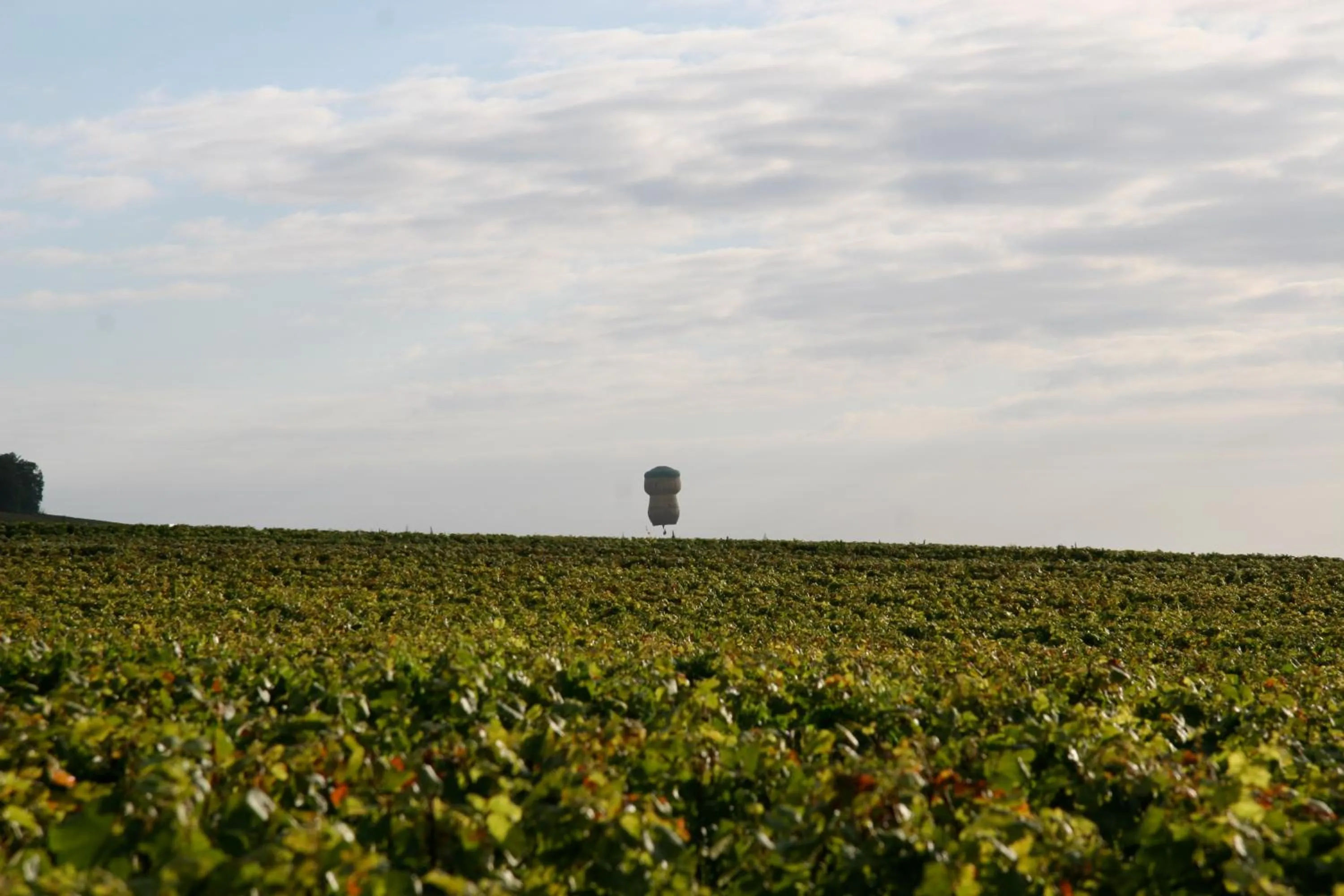 Natural landscape in Best Western Le Relais du Vigneron