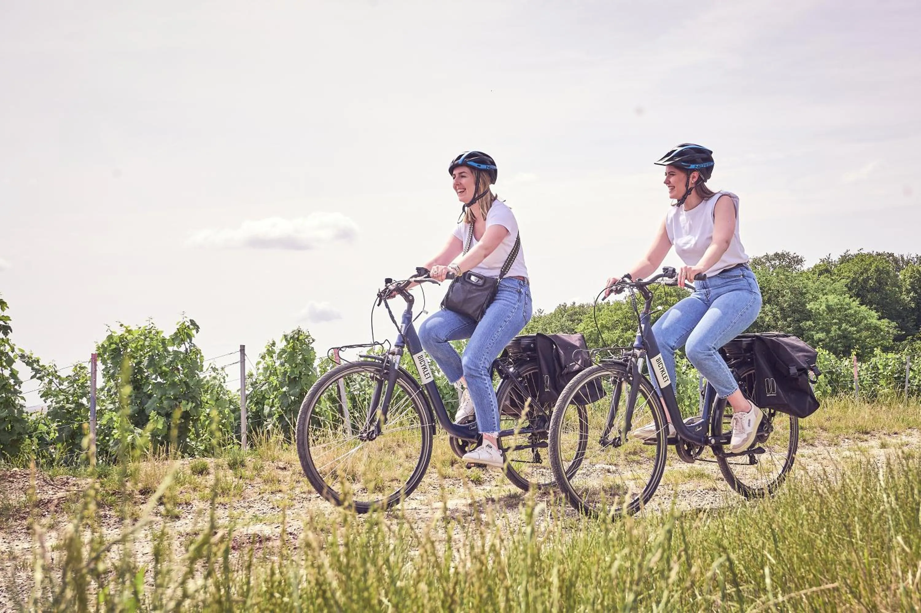 Activities in Best Western Le Relais du Vigneron