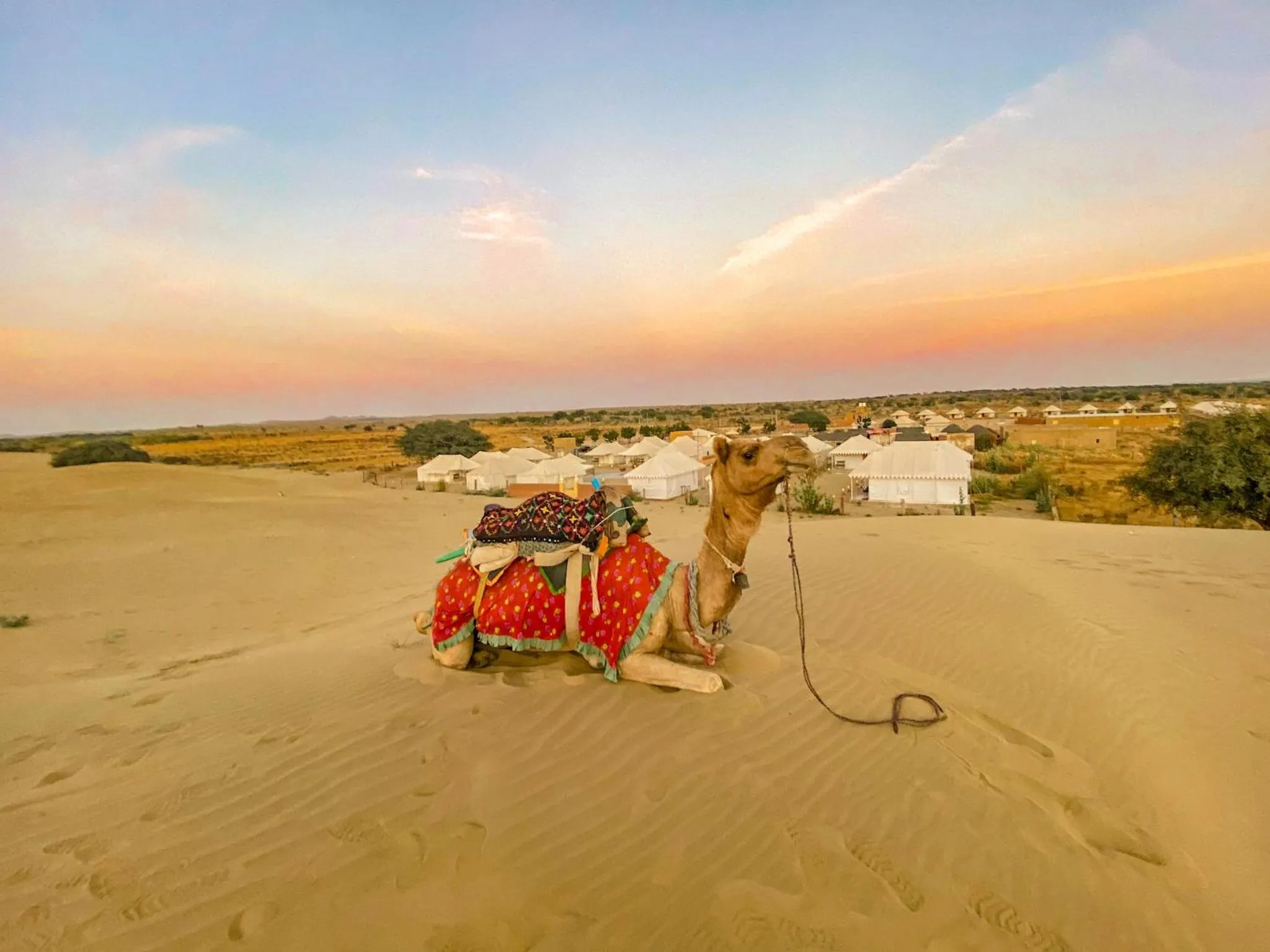 Activities in Pal Rajah Desert Camp