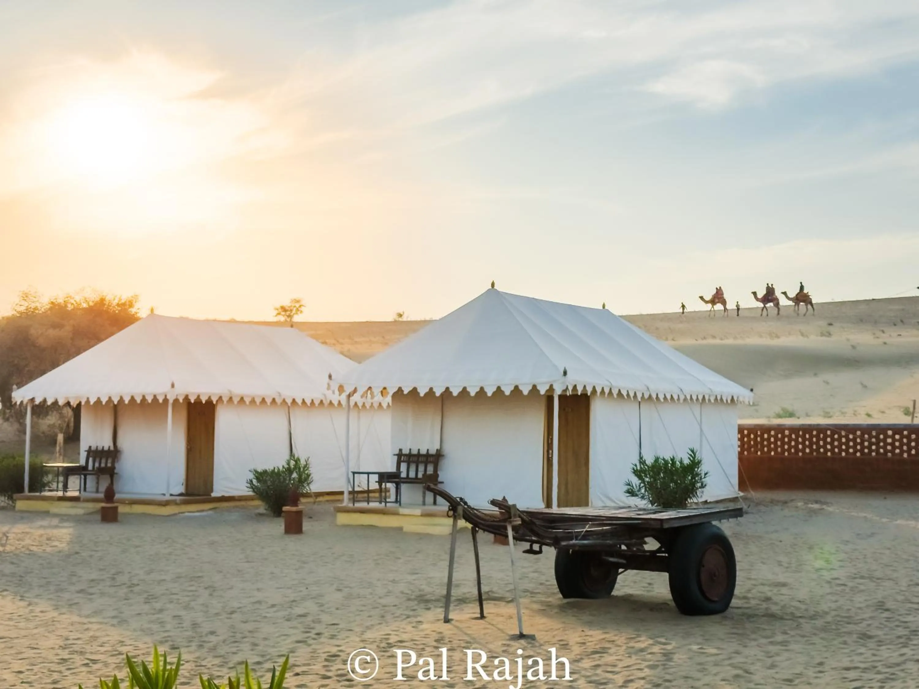 Natural landscape in Pal Rajah Desert Camp