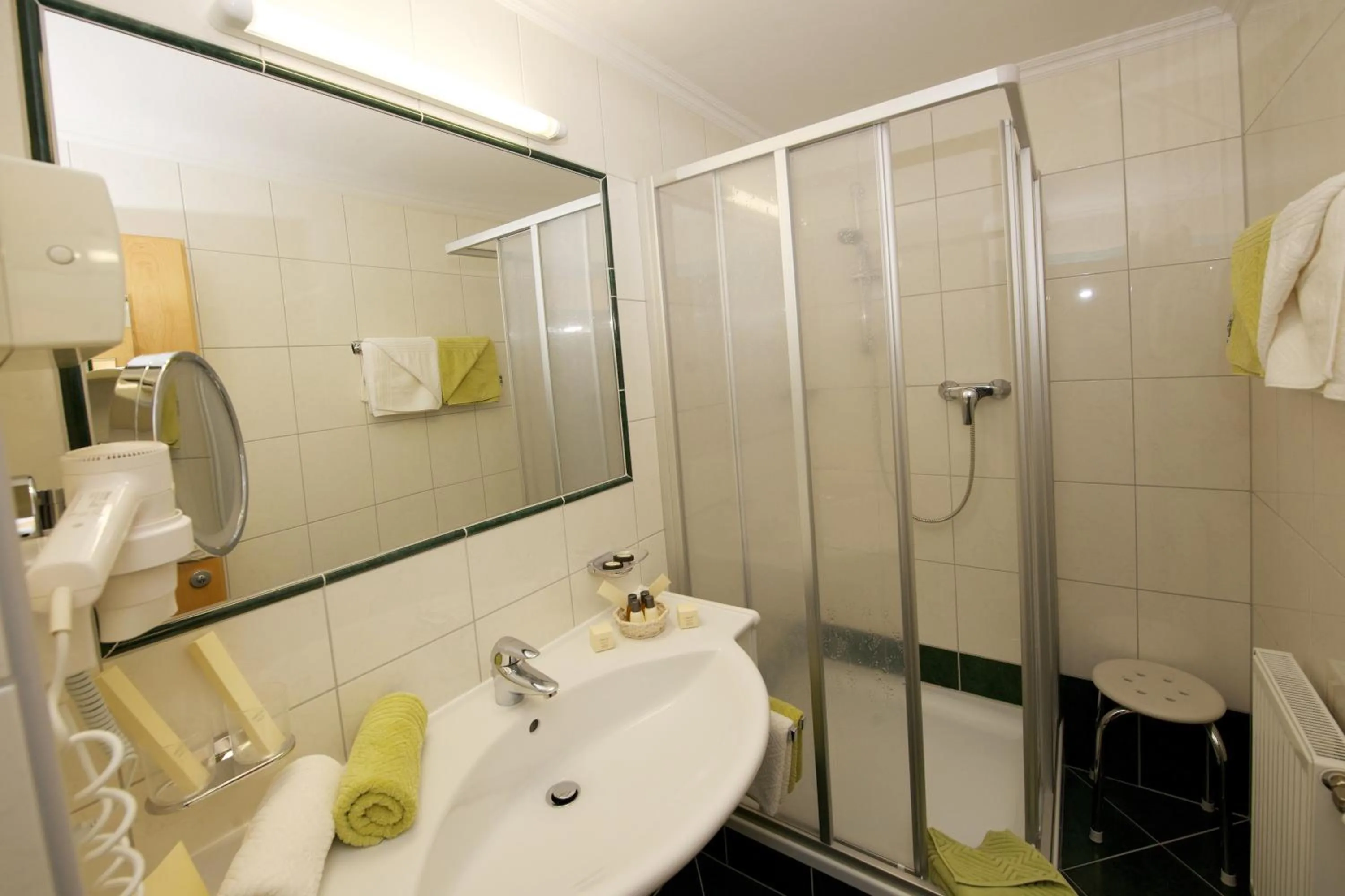 Single Room - single occupancy in Hotel Tristkogel