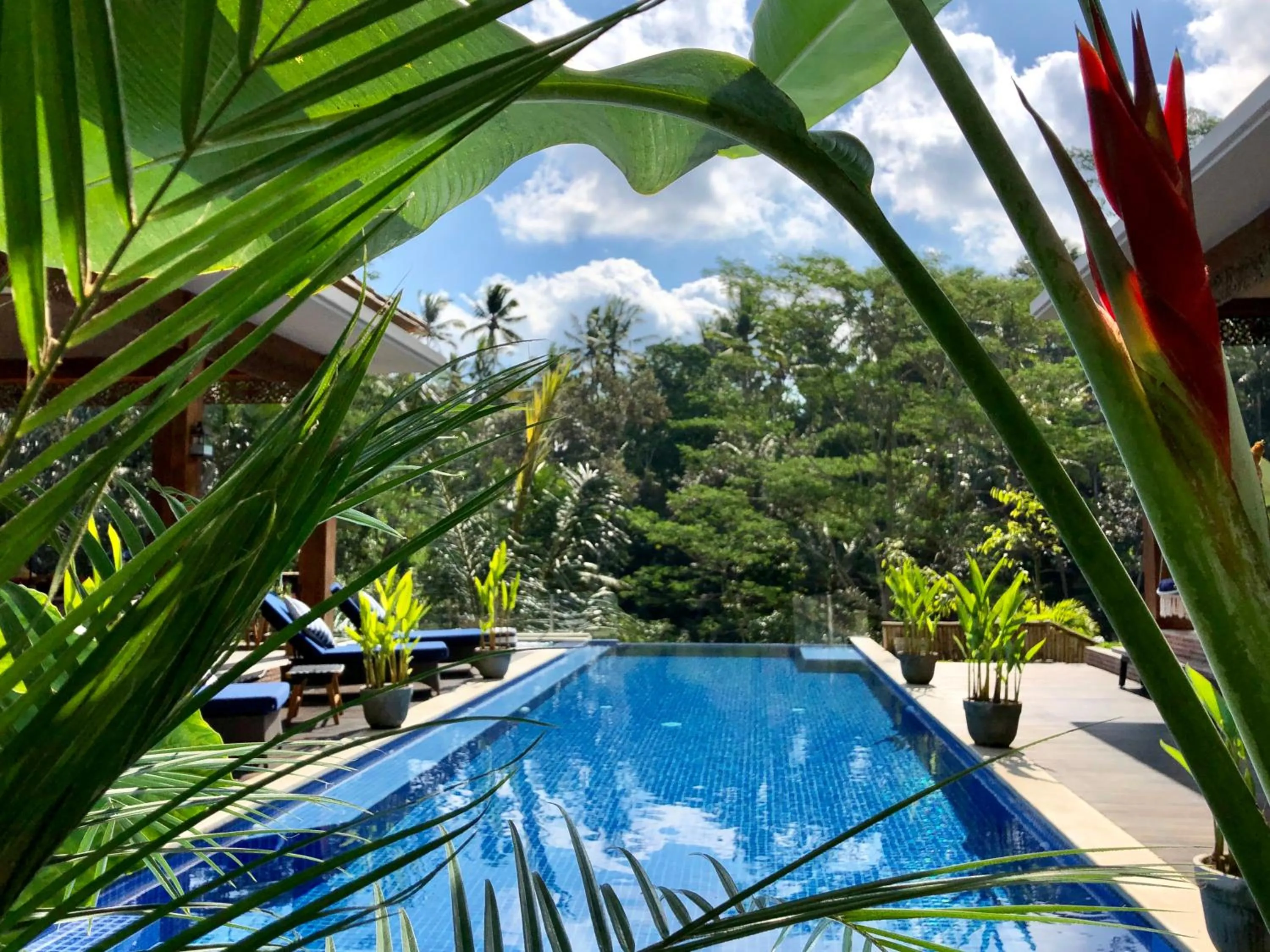 Pool view in Puri Kasih Gottlieb