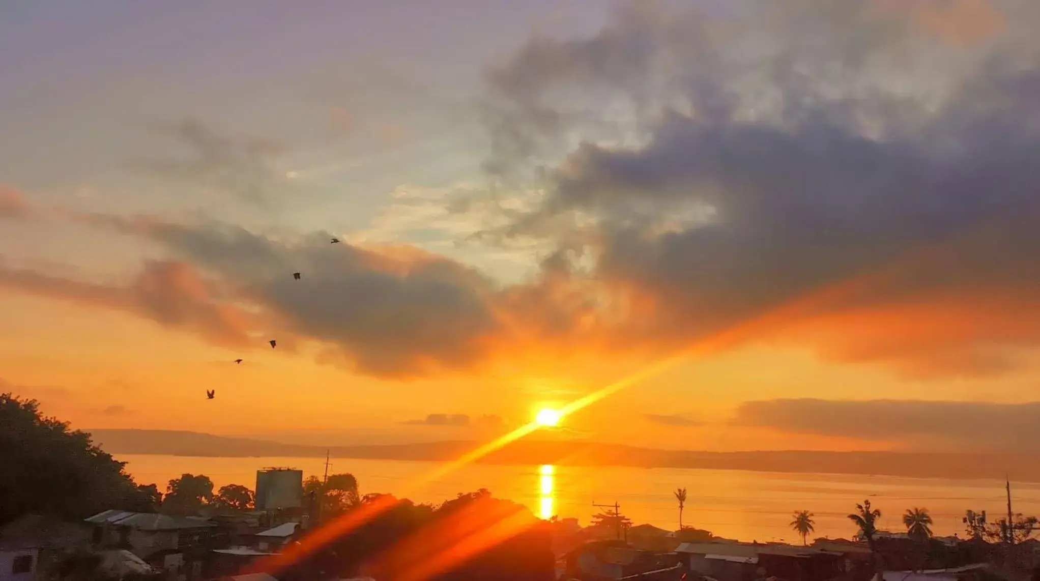 Sunrise in Davao Condo 2BR Pool Wifi Netflix Sunrise in Davao Condo 2BR Pool Wifi Netflix