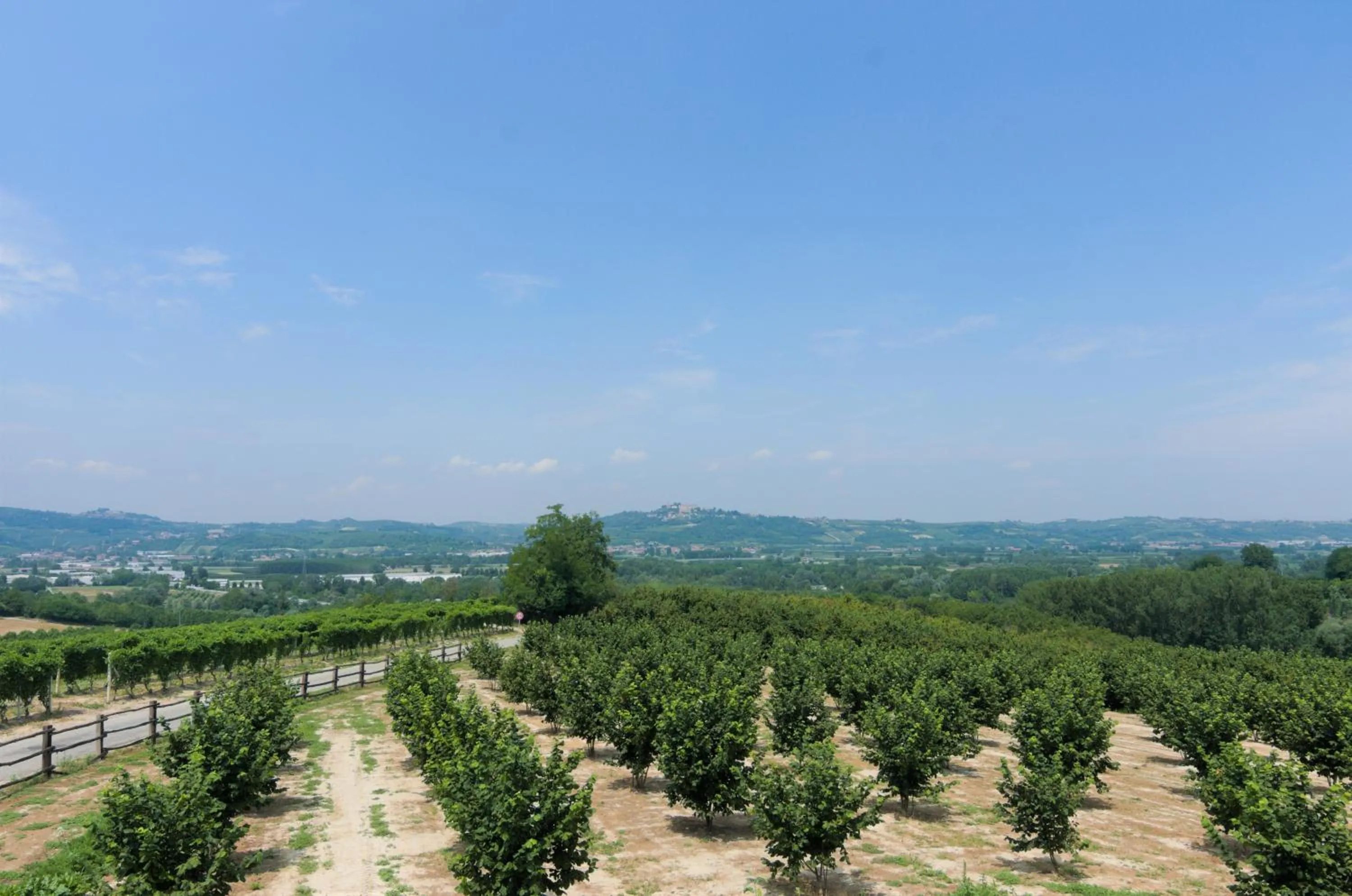 Natural landscape in B&B da Laura e Aldo