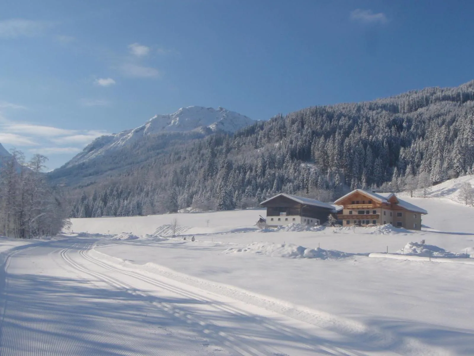 Winter in ARCHE Hof Öbristhof