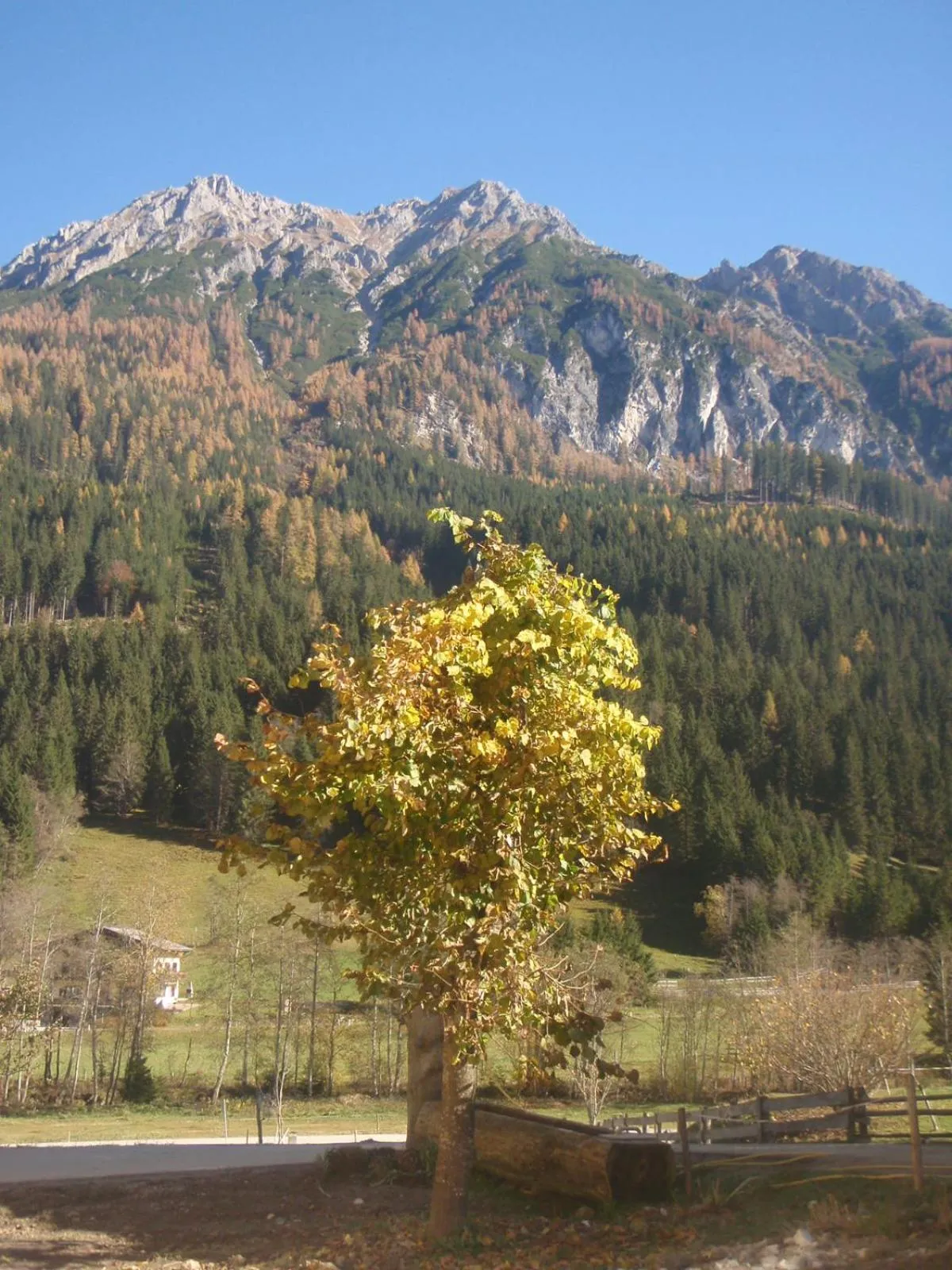 Natural landscape in ARCHE Hof Öbristhof
