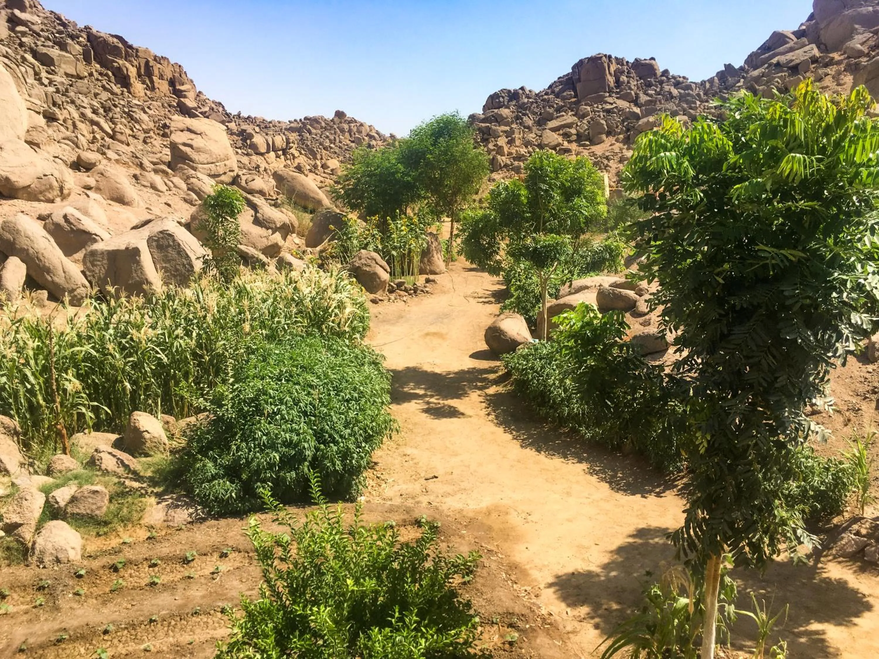 Garden in Eco Nubia