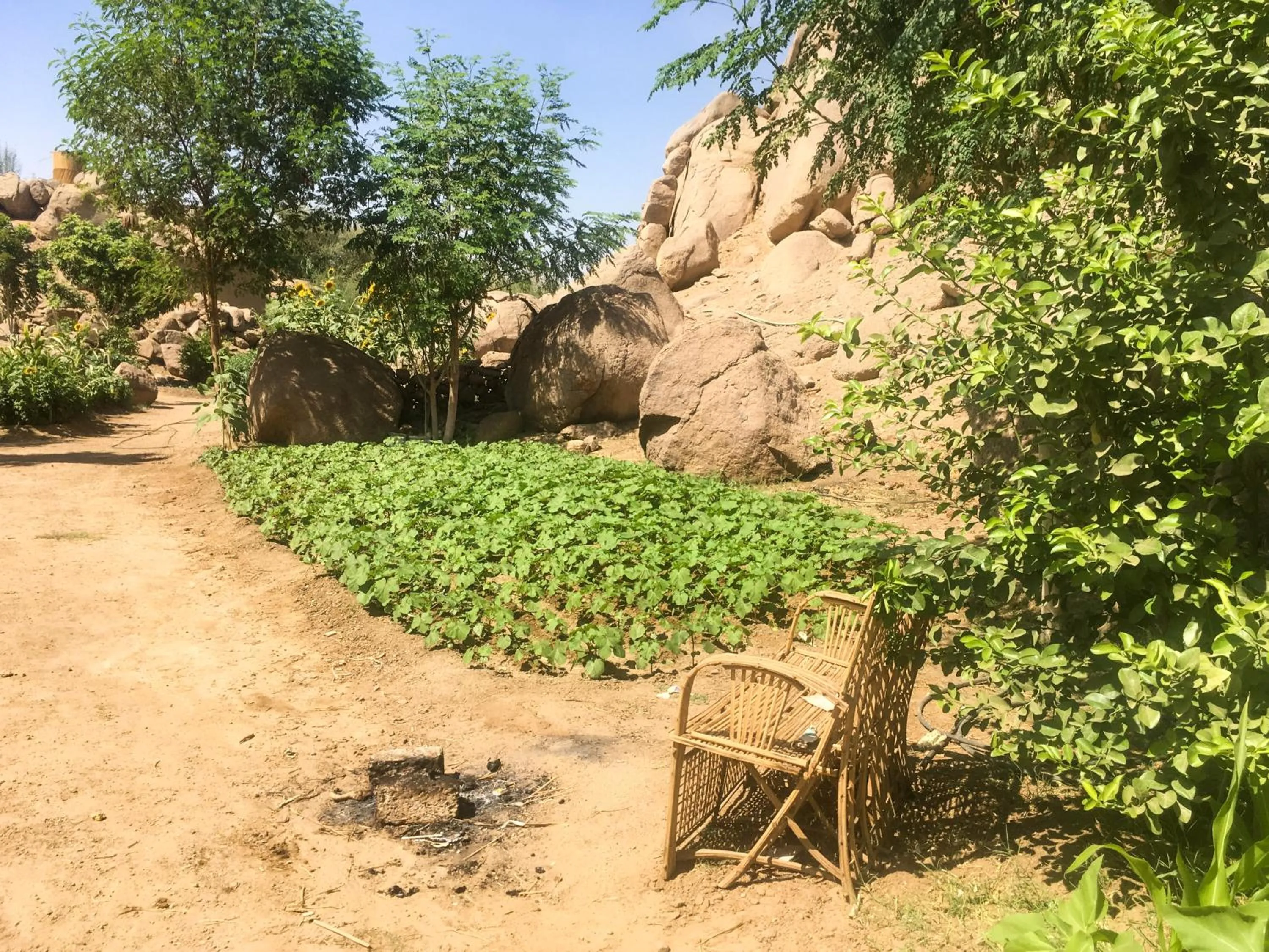 Garden in Eco Nubia