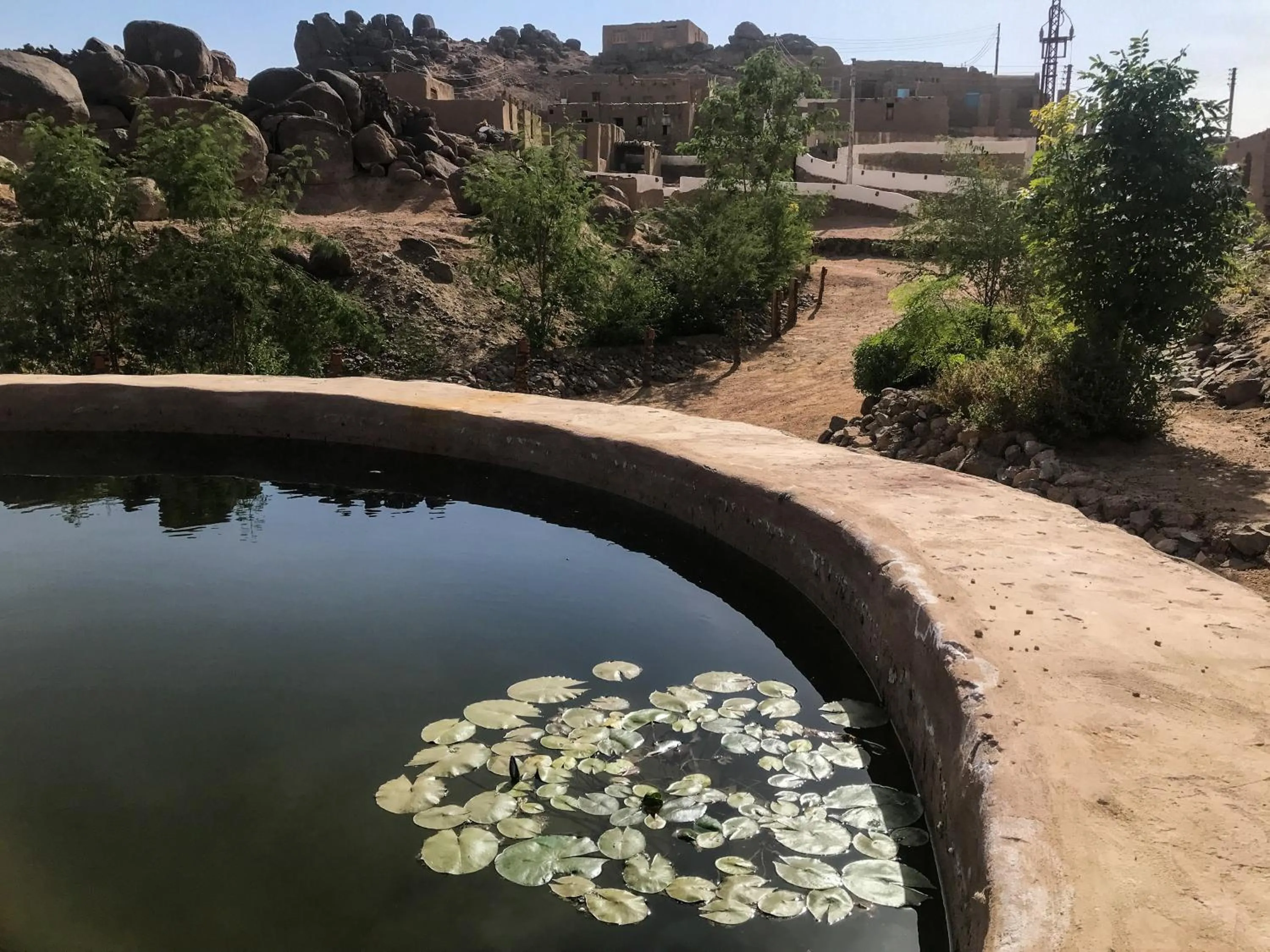 Garden in Eco Nubia