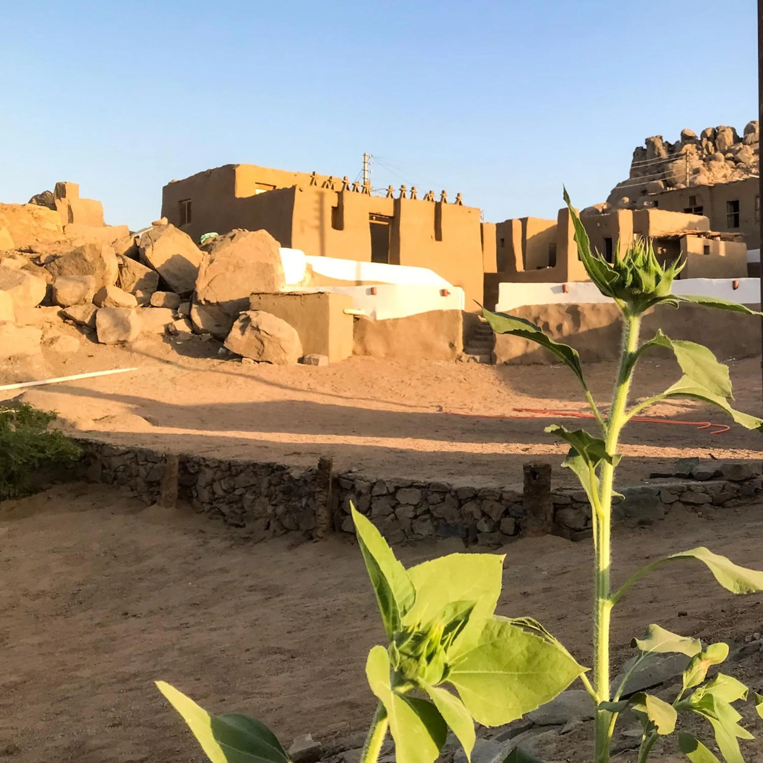View (from property/room) in Eco Nubia