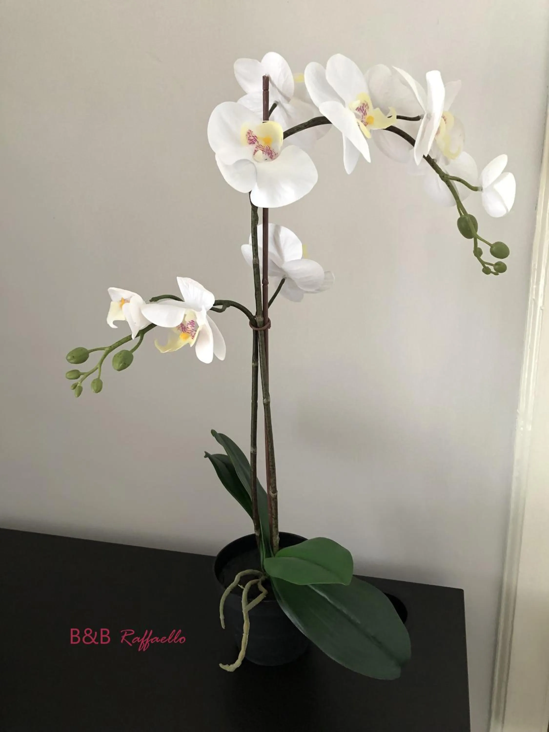 Decorative detail in B & B Raffaello