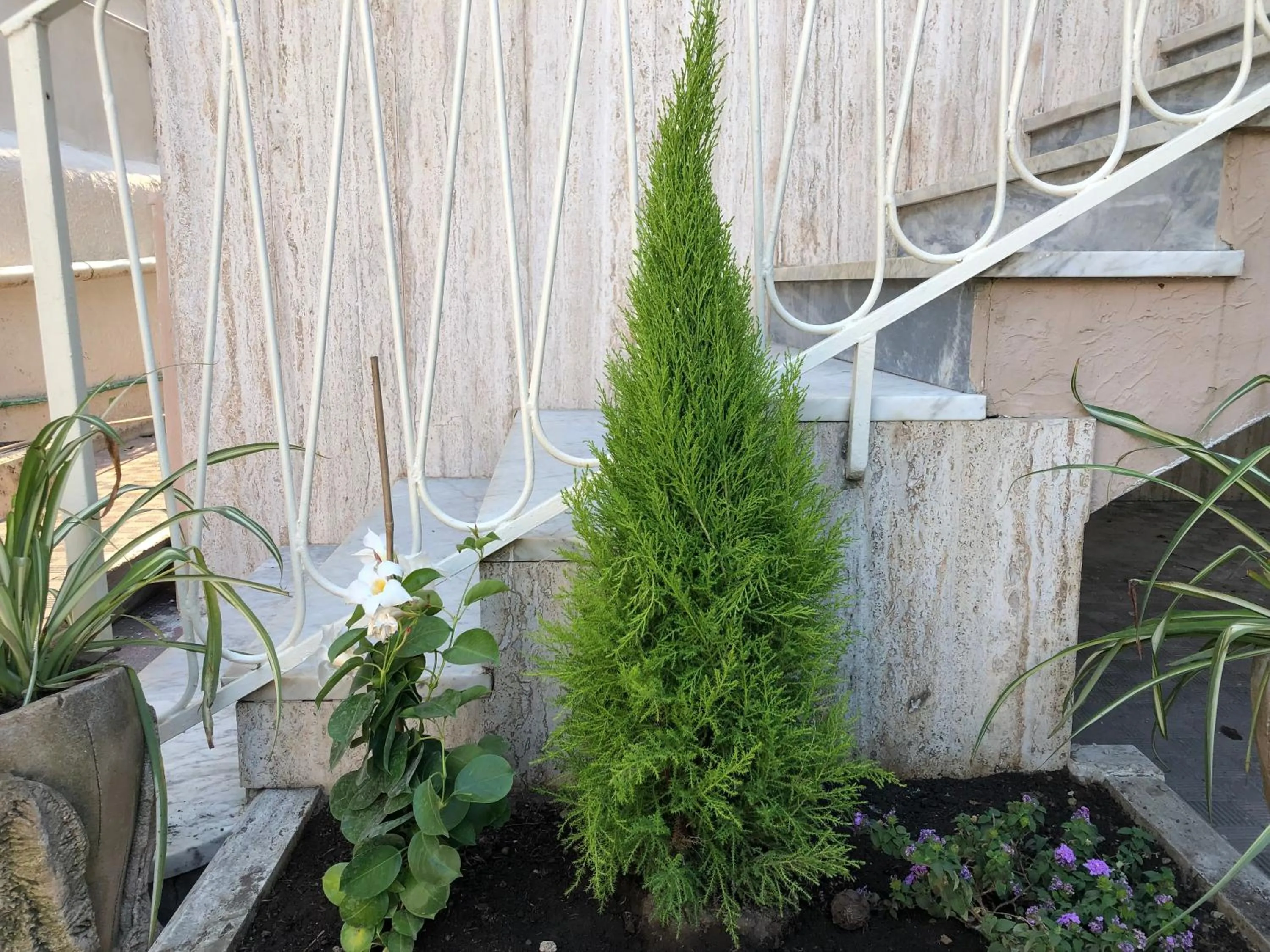 Facade/entrance in B & B Raffaello