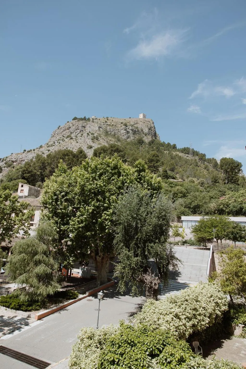 Garden view in Hotel Anna