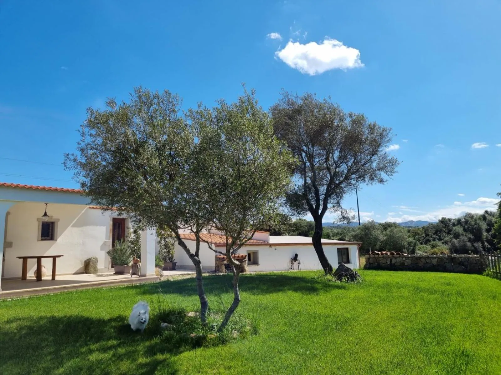 LU ANTU alloggi agrituristici