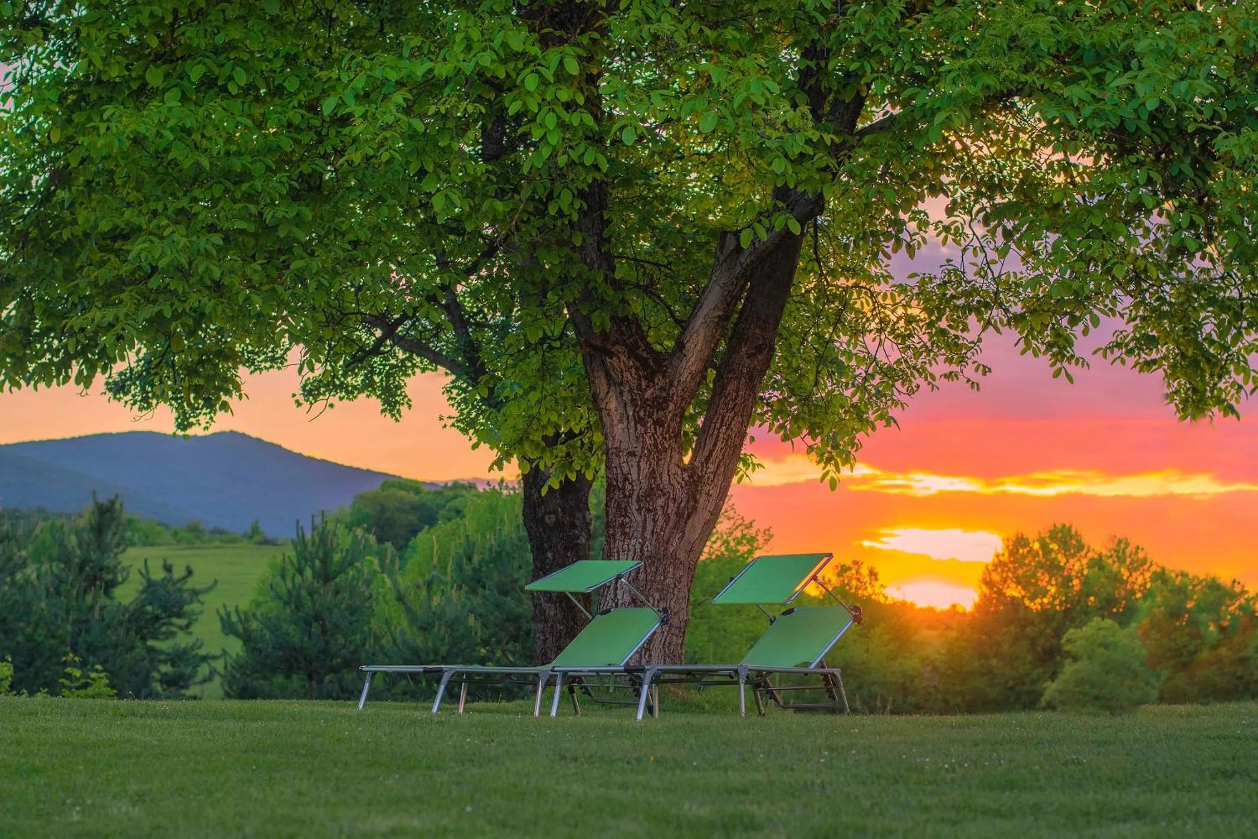 Natural landscape in 4 Seasons Guest House