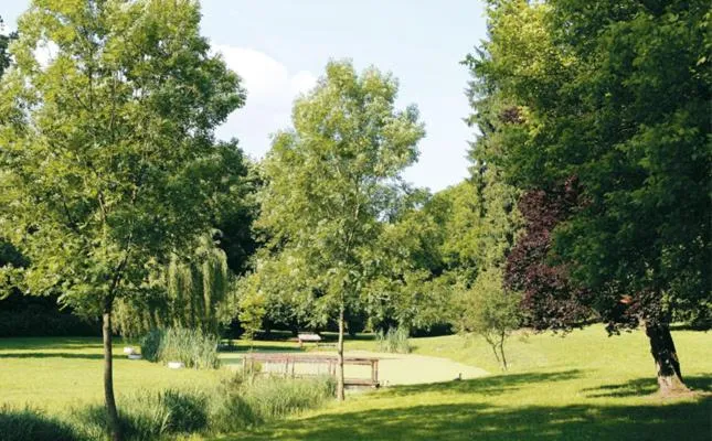 View (from property/room) in Logis Hôtel - Restaurant Le Tulipier