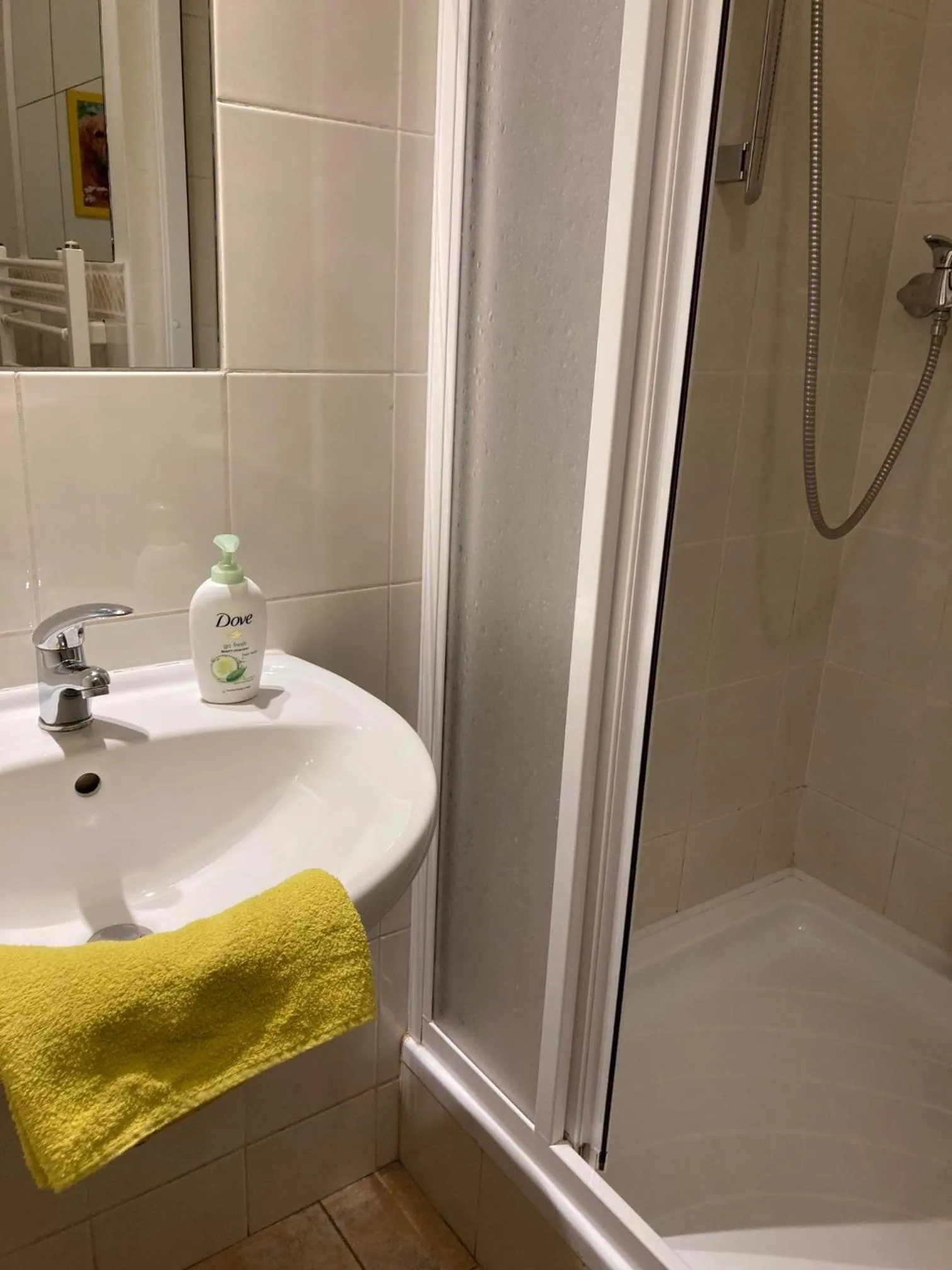 Shower in Aparthotel City 5