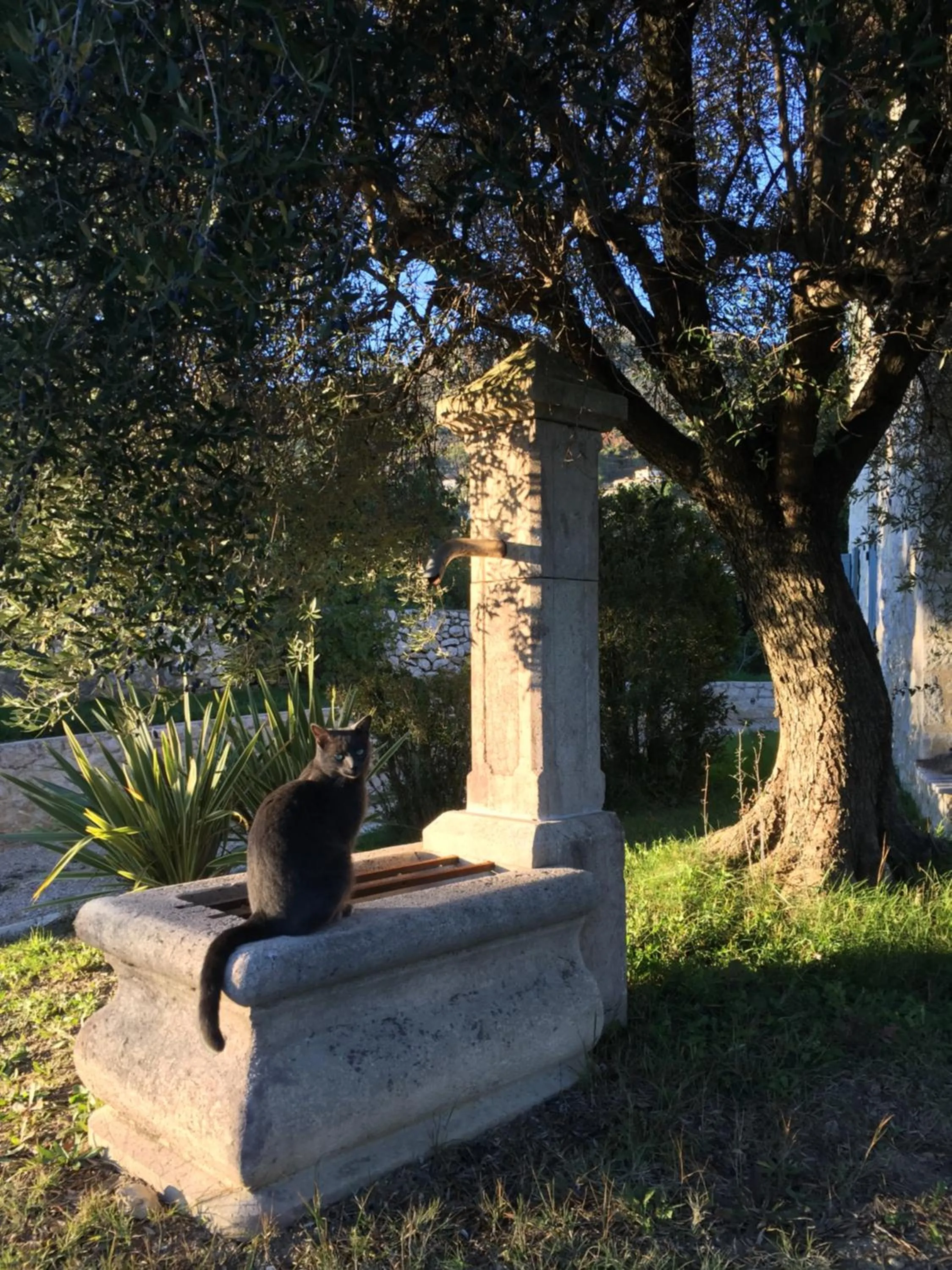 Garden in Les 4 éléments