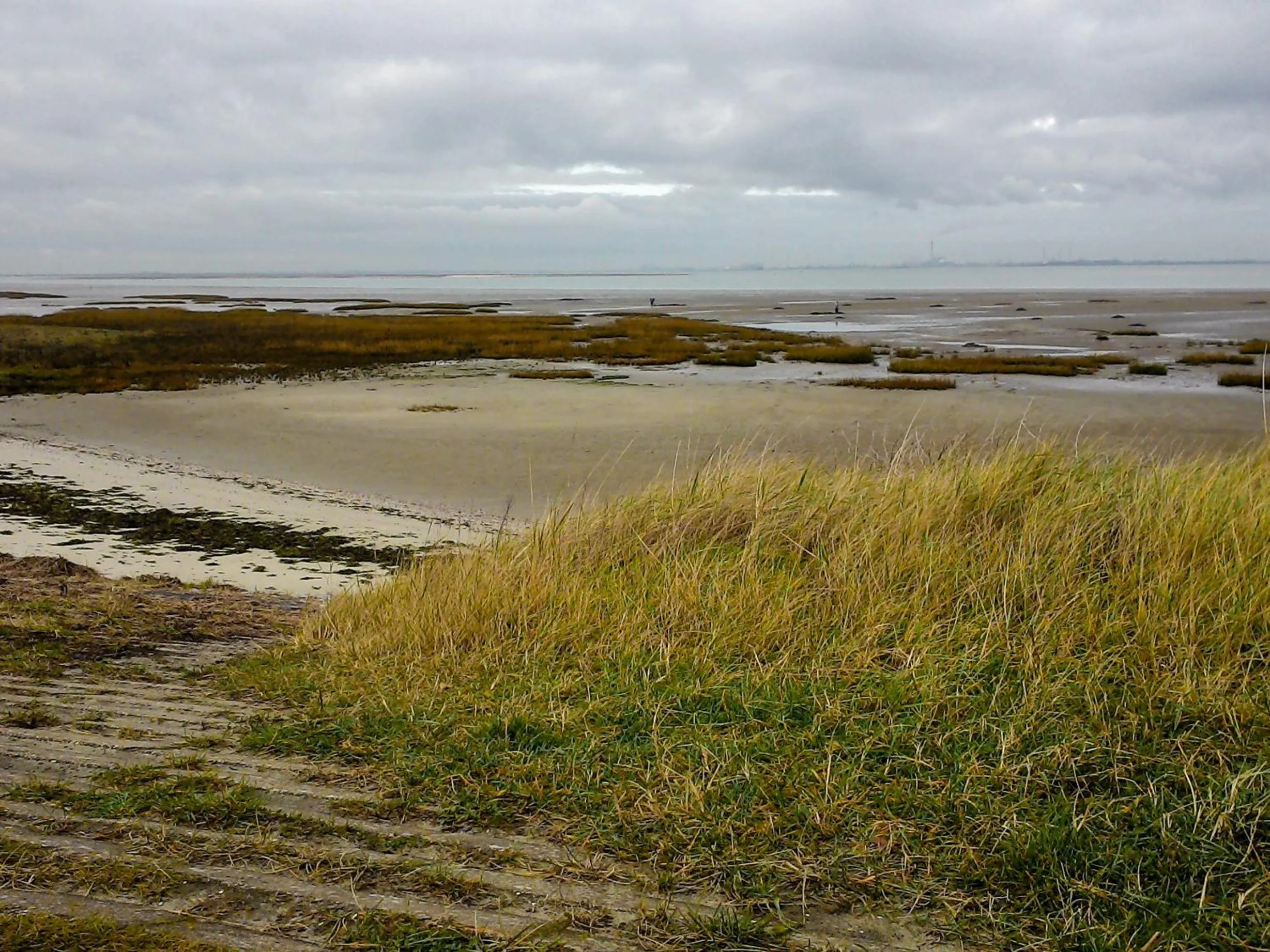 Beach in Suite & Wellness