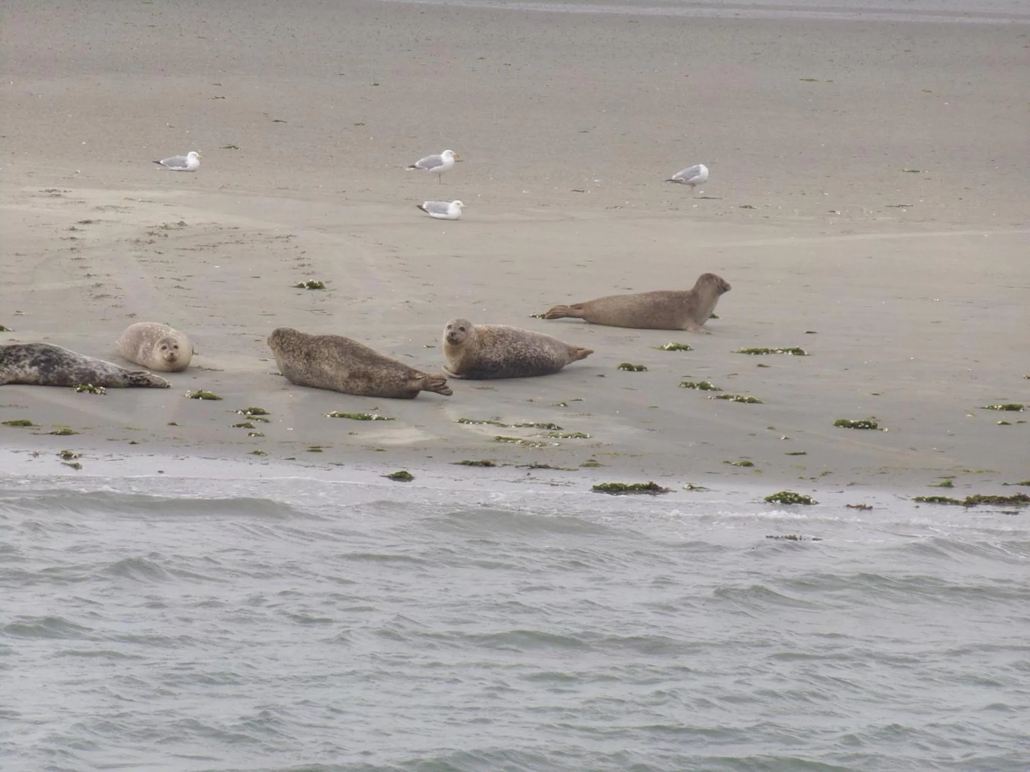 Nearby landmark in Suite & Wellness