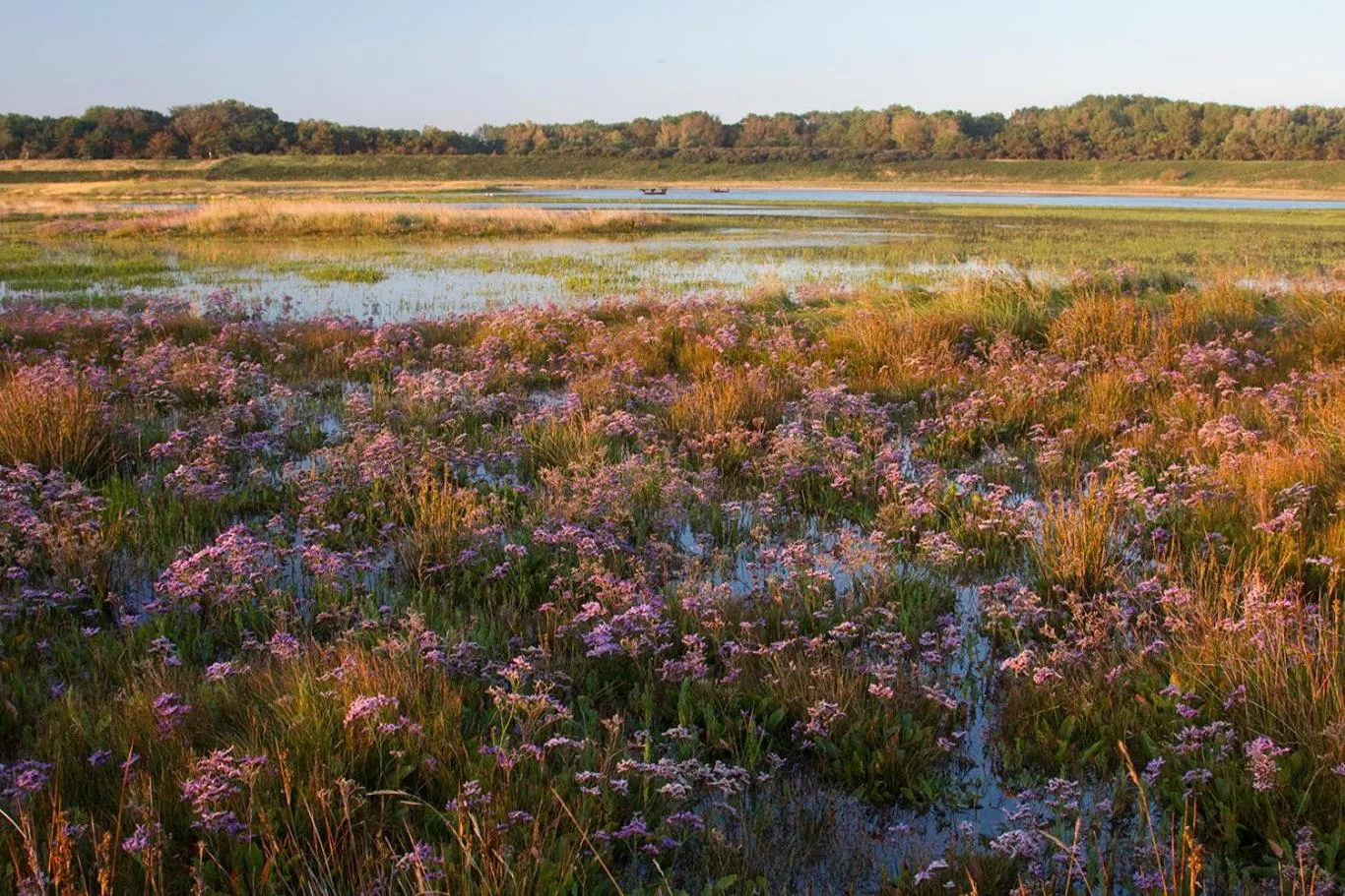 Nearby landmark in Suite & Wellness