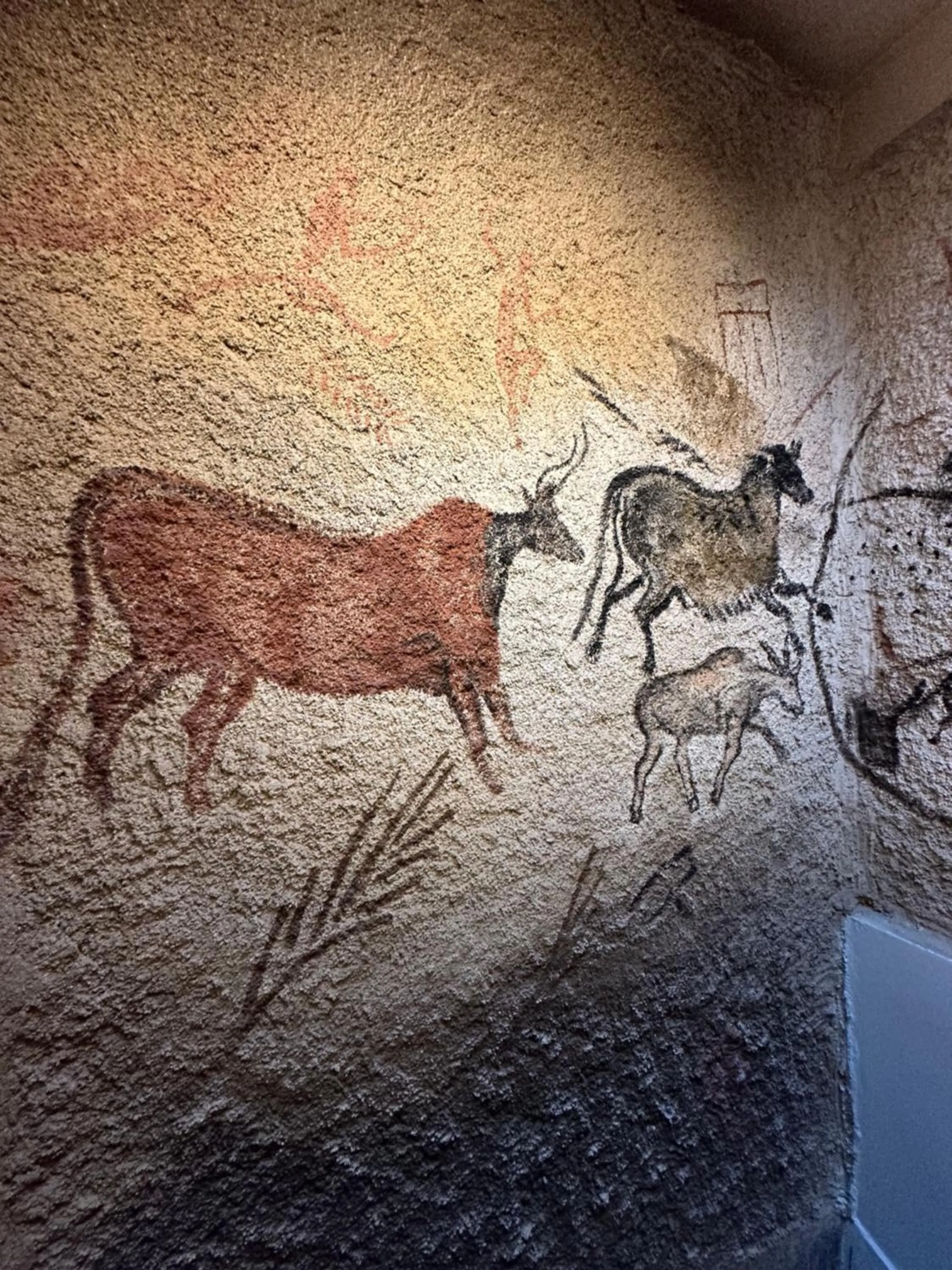 Property building in Archeo