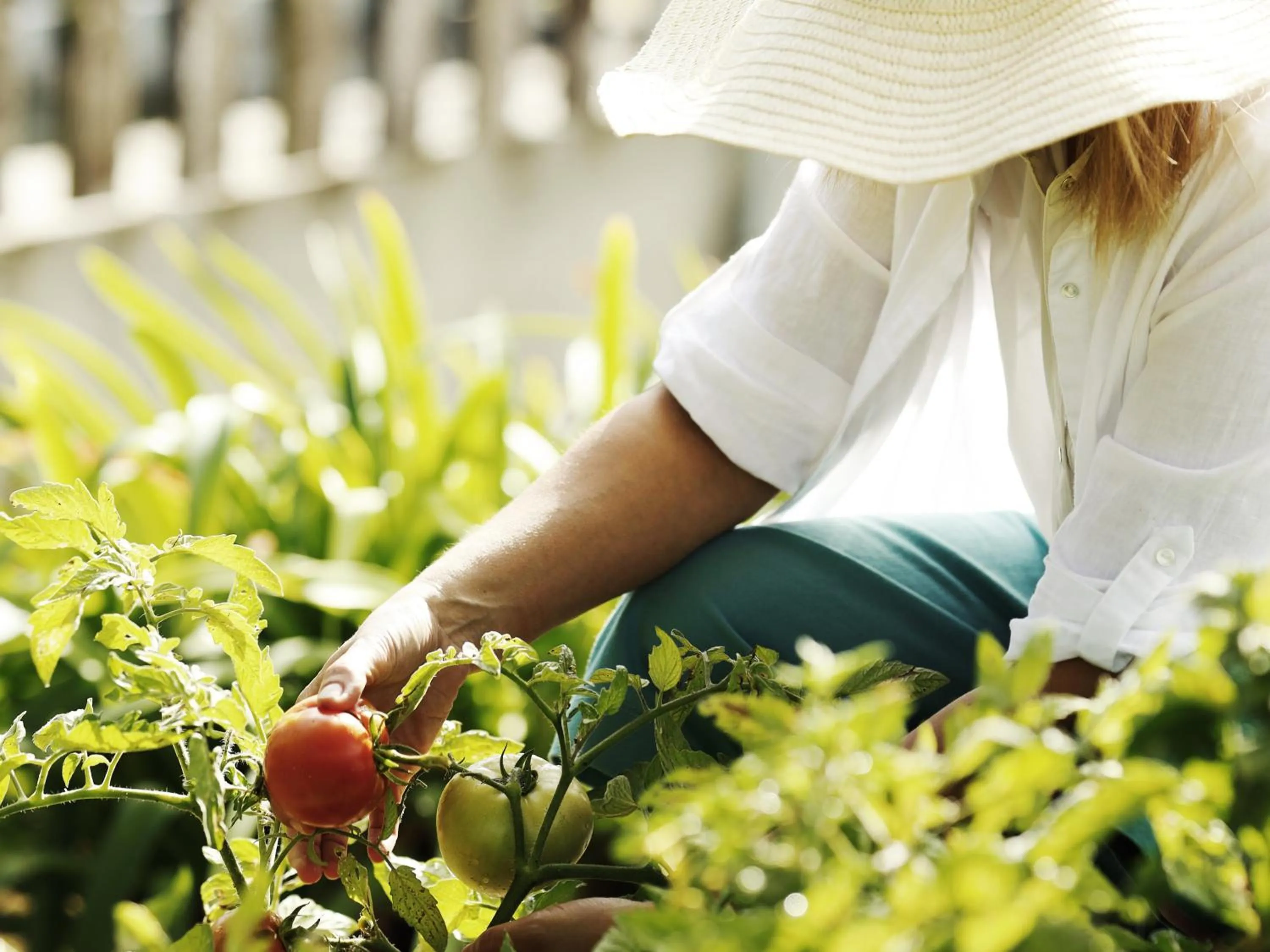 Garden in Real Abadia, Congress & Spa Hotel