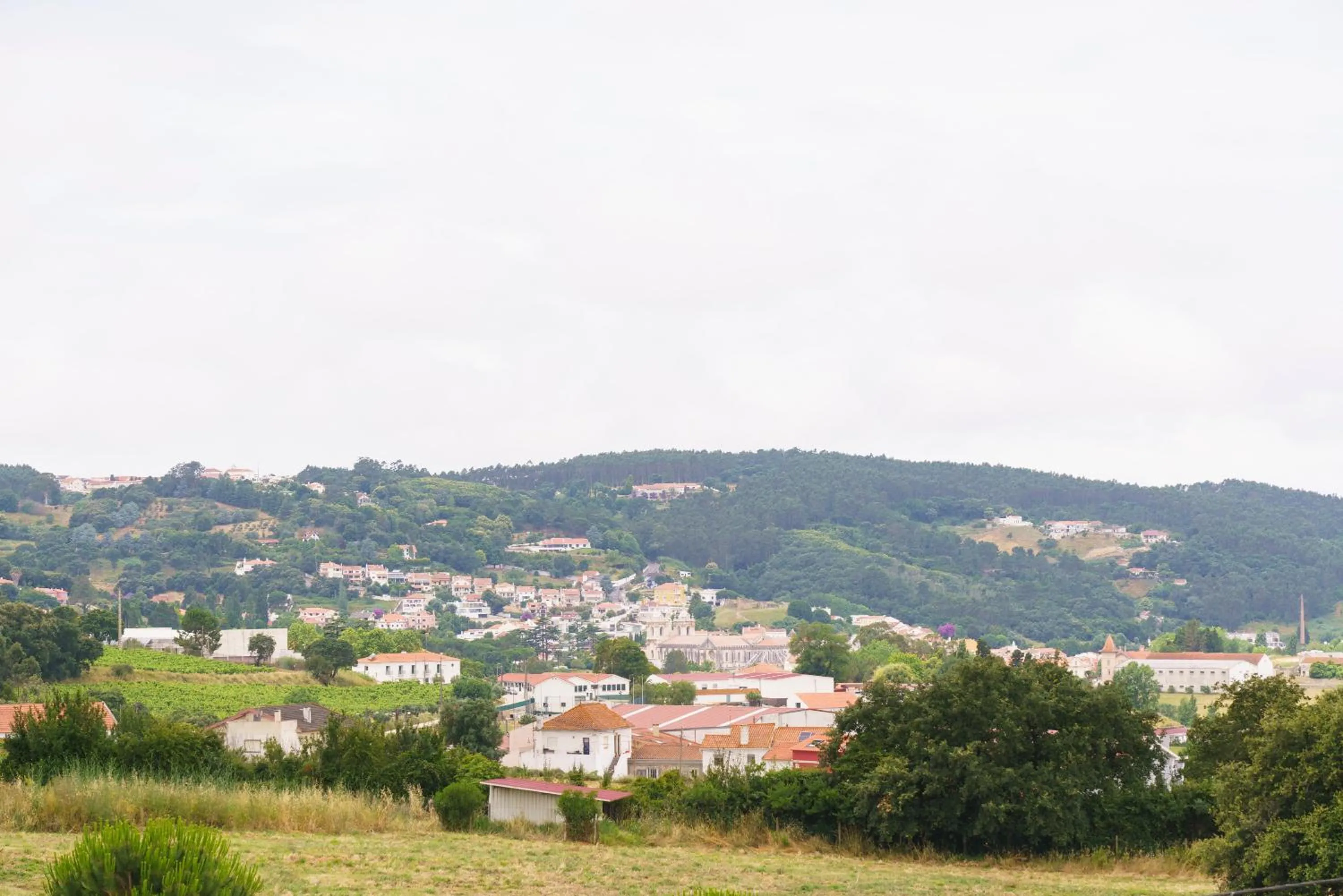 View (from property/room) in Real Abadia, Congress & Spa Hotel