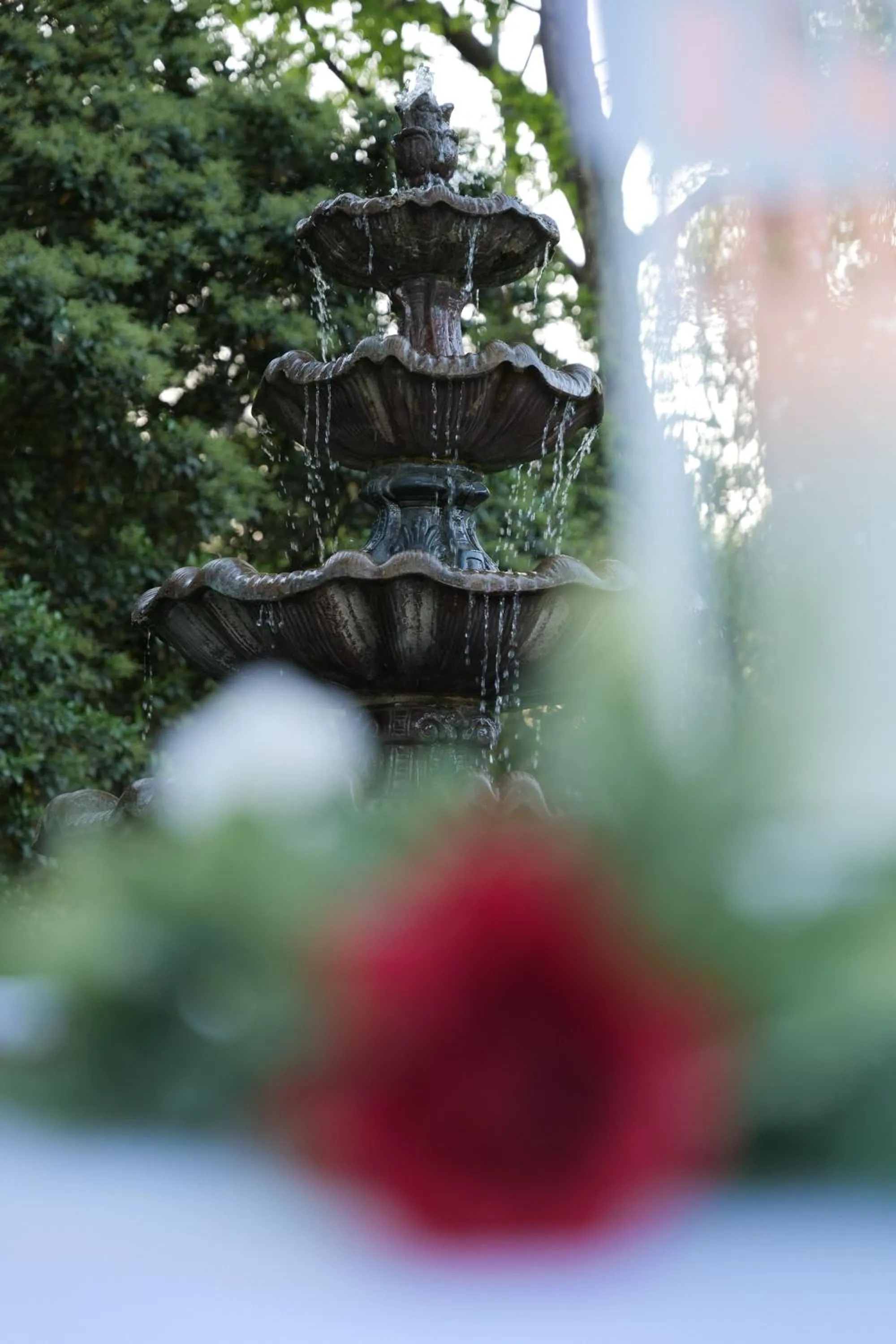 Garden in The Inn on Front Street