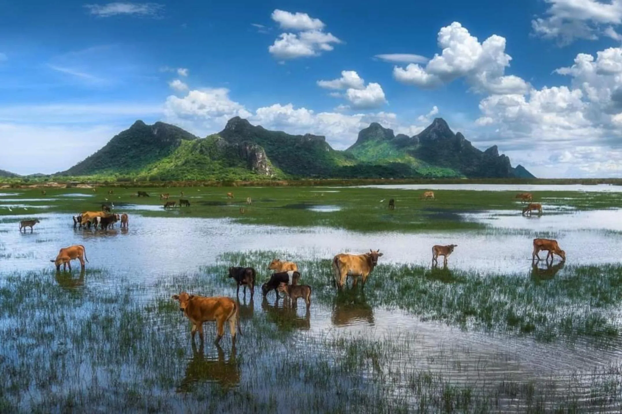 Nearby landmark in Namaste resort