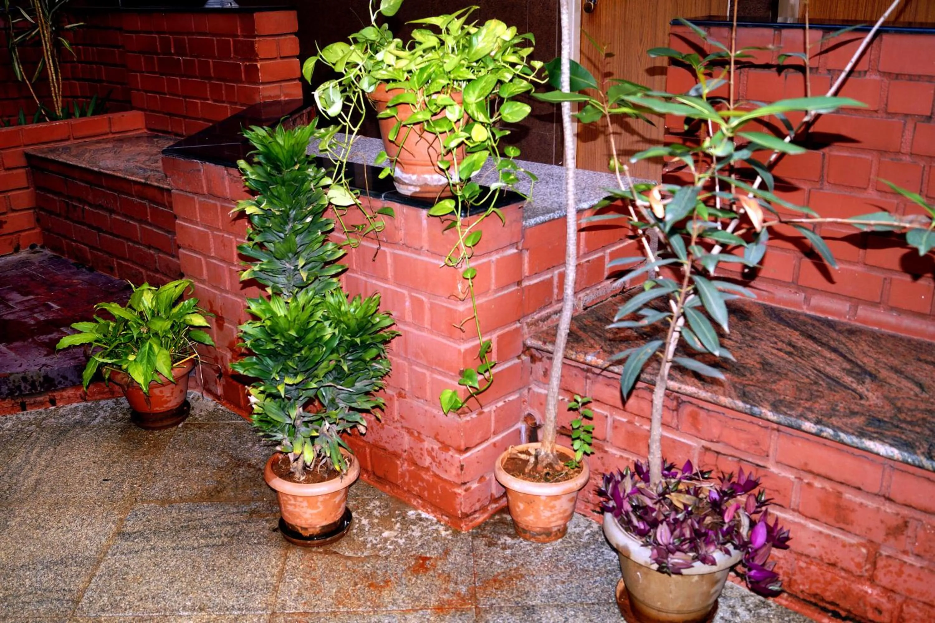 Facade/entrance in Sri Kumara Lodge