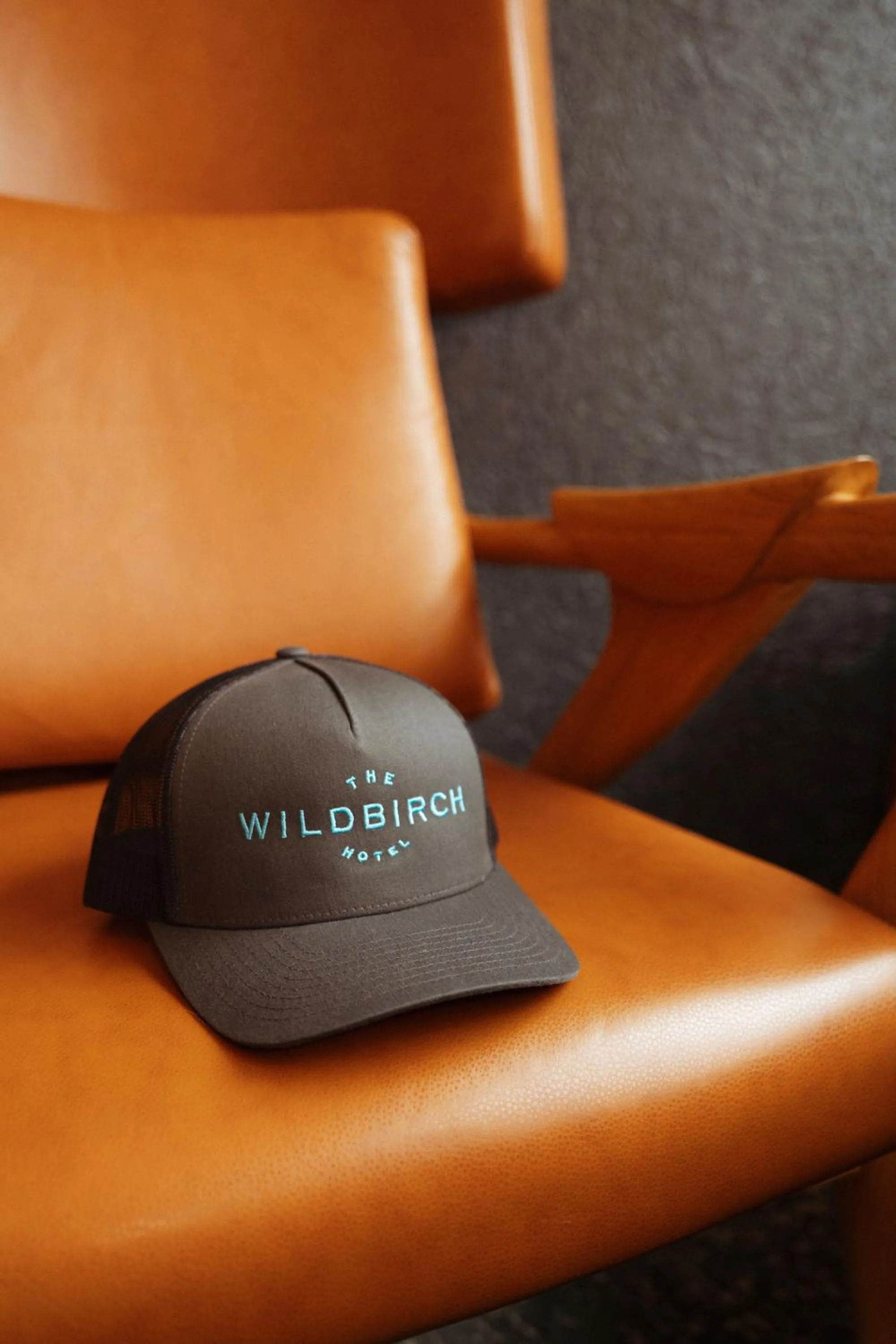 Logo/Certificate/Sign in The Wildbirch Hotel - JdV by Hyatt