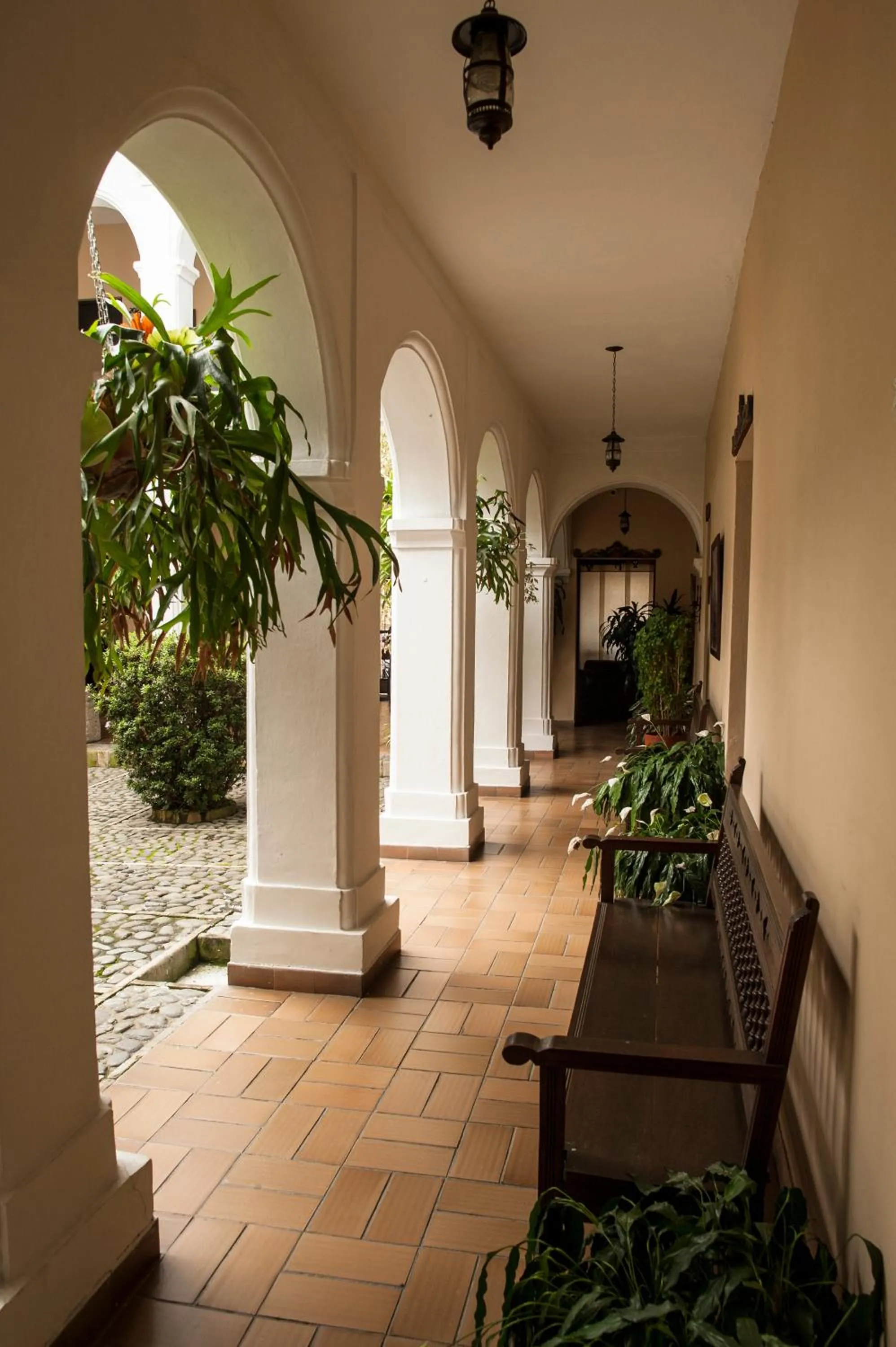 Area and facilities in Hotel La Plazuela