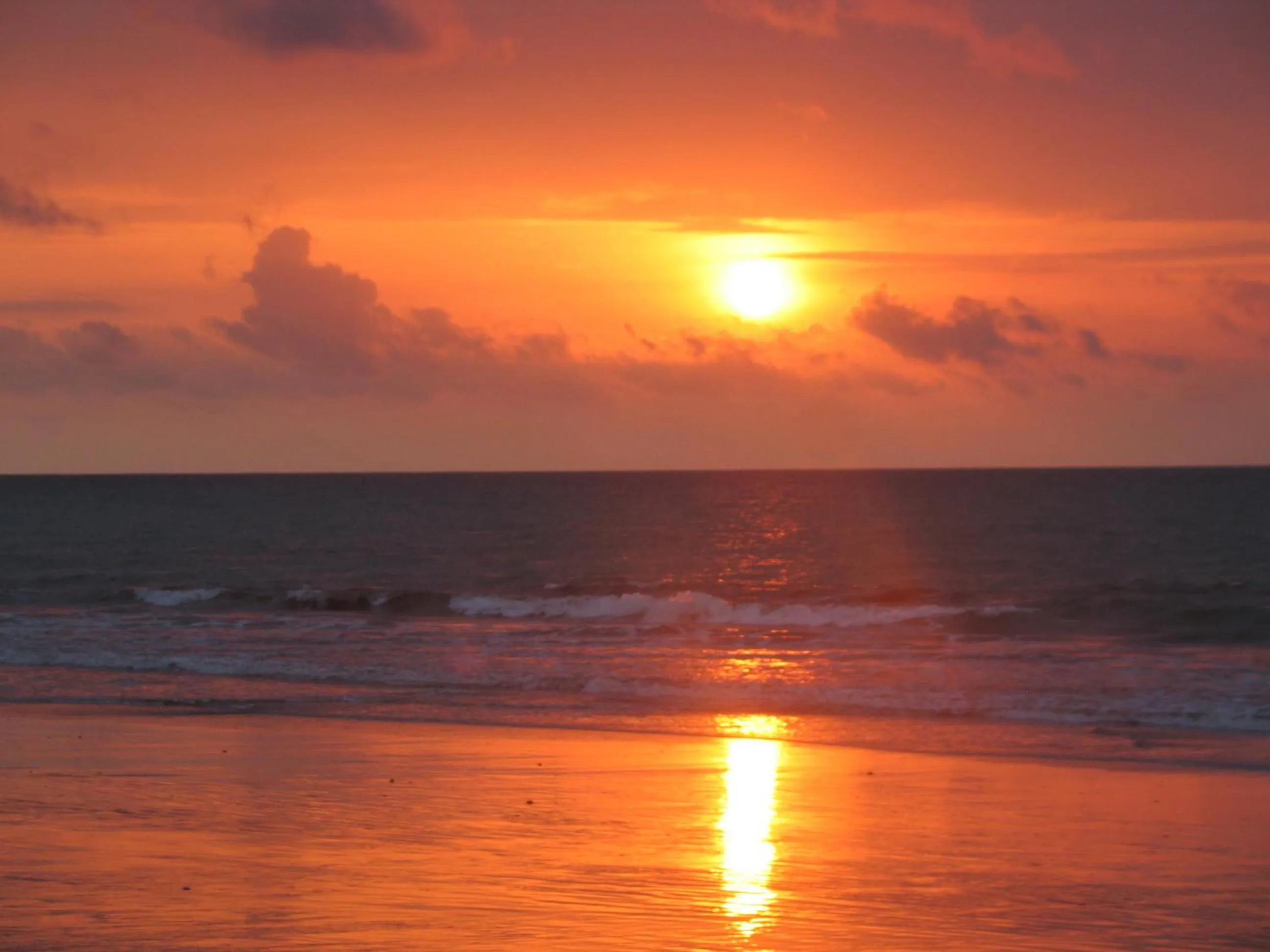 Natural landscape in Hotel Puerto Gaviota