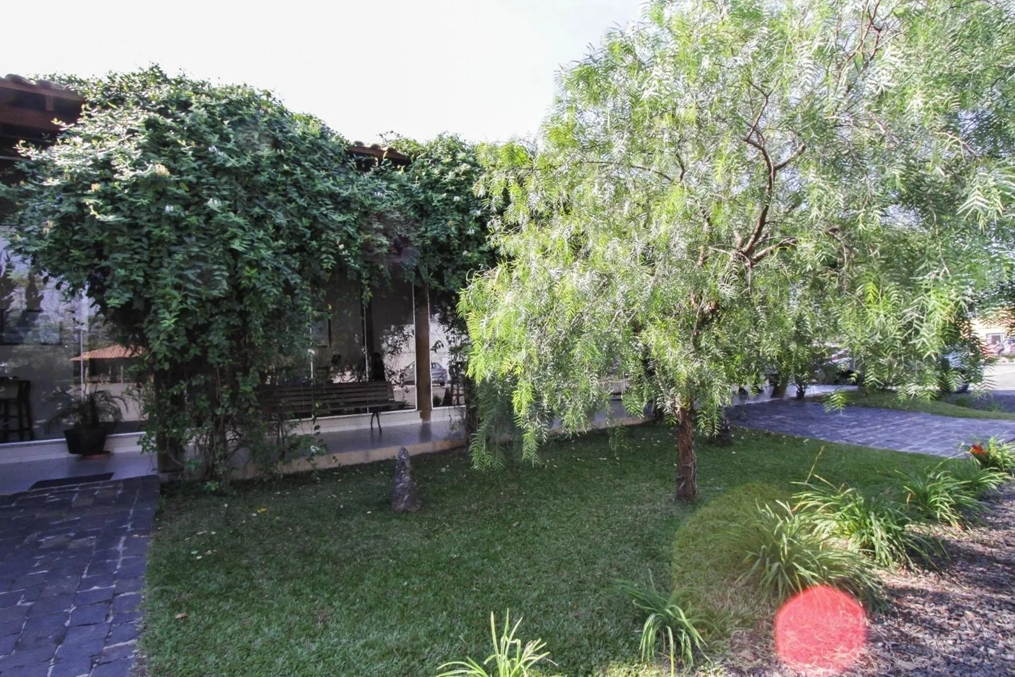 Garden in Flex Hotel