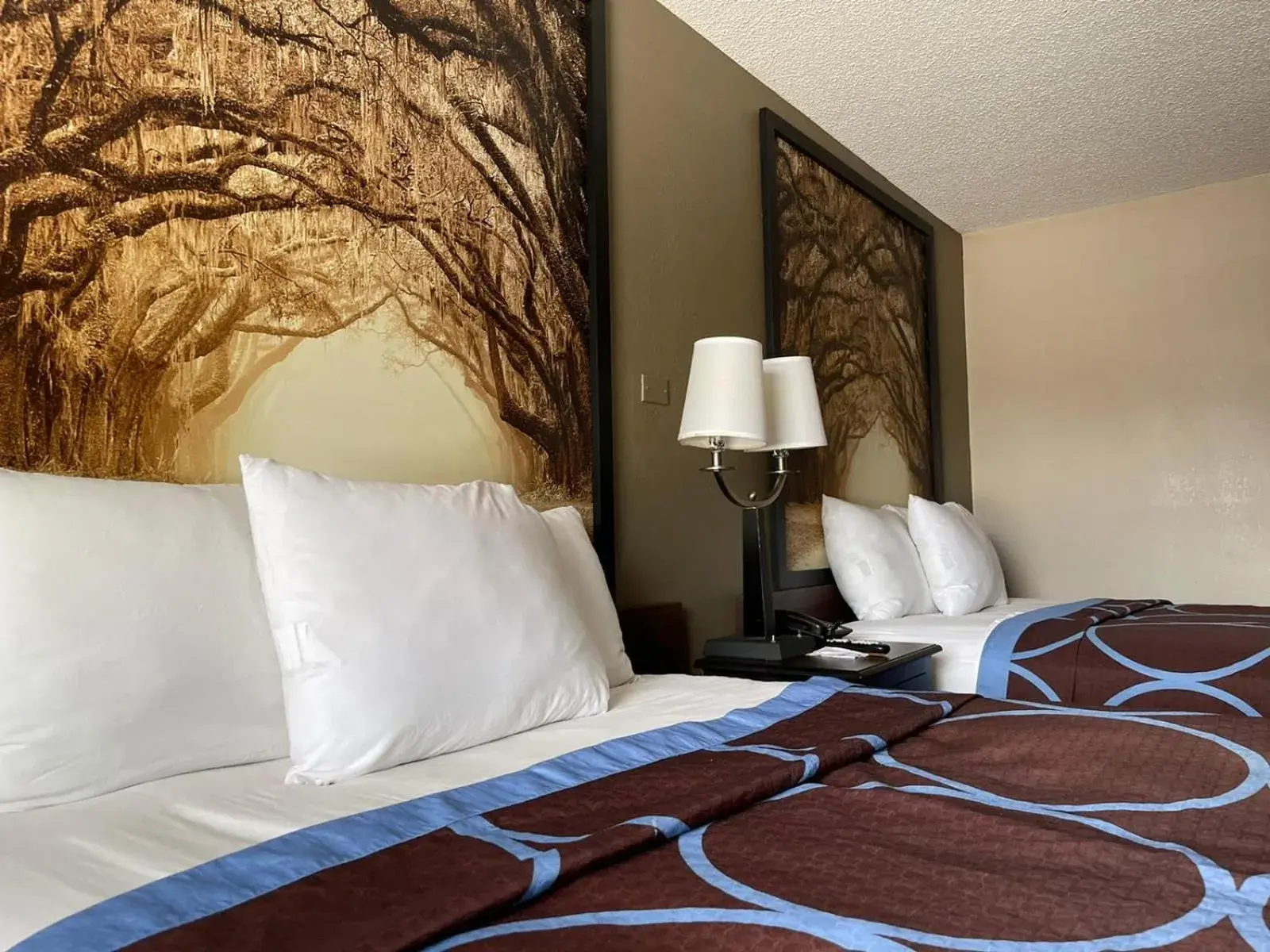 Bed in Super 8 by Wyndham Elberton Bed in Super 8 by Wyndham Elberton