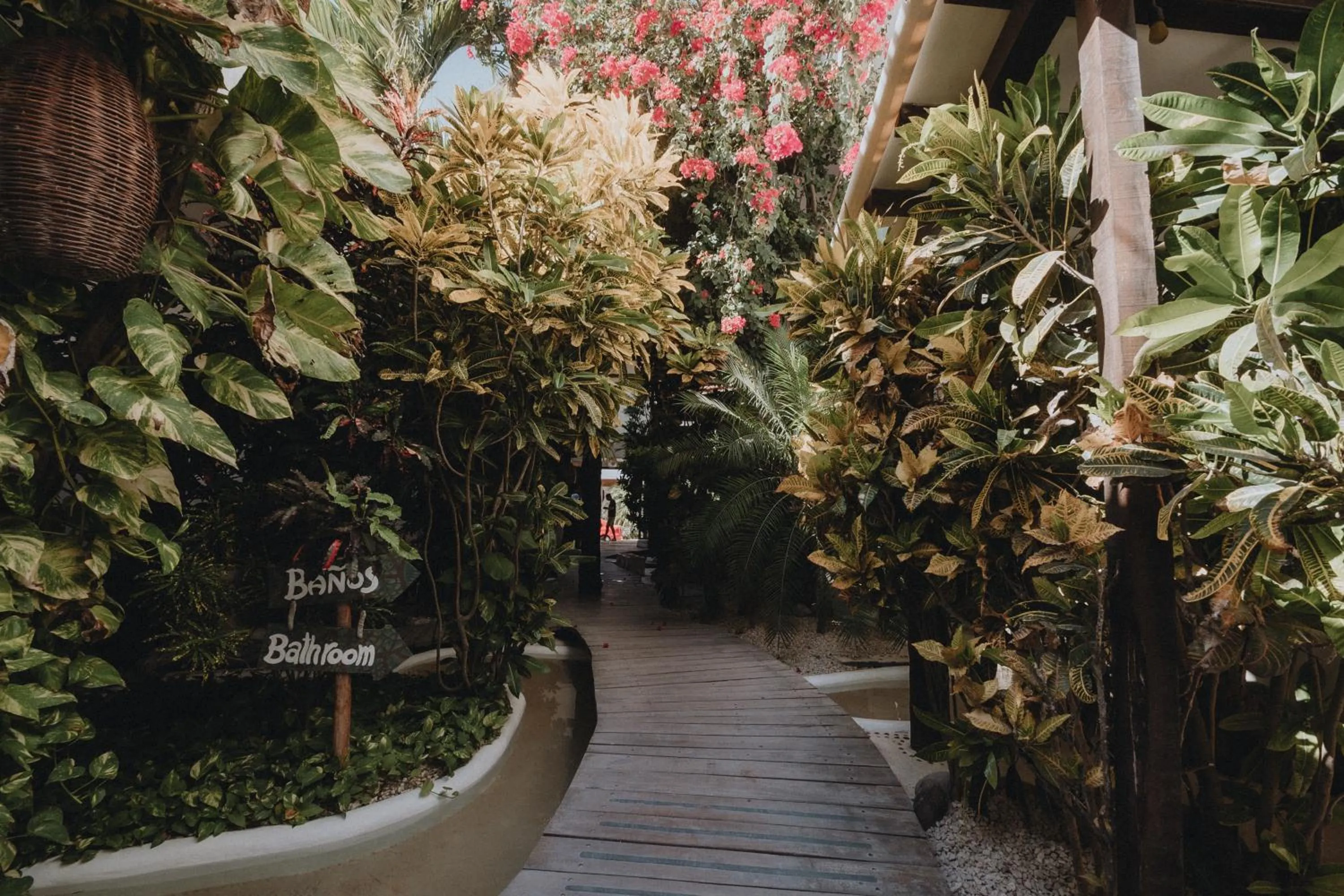 Garden in 40 Cañones