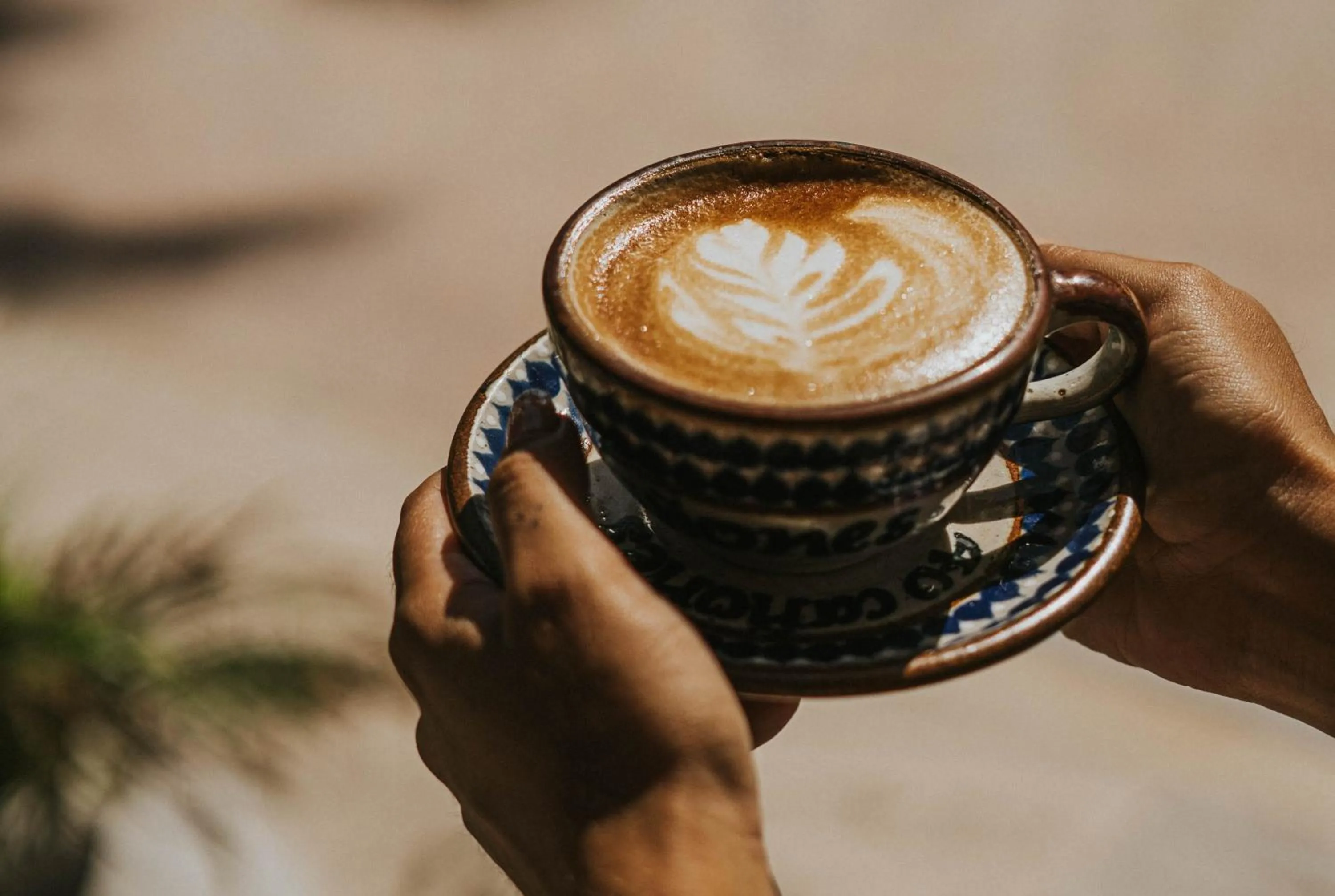 Restaurant/places to eat in 40 Cañones