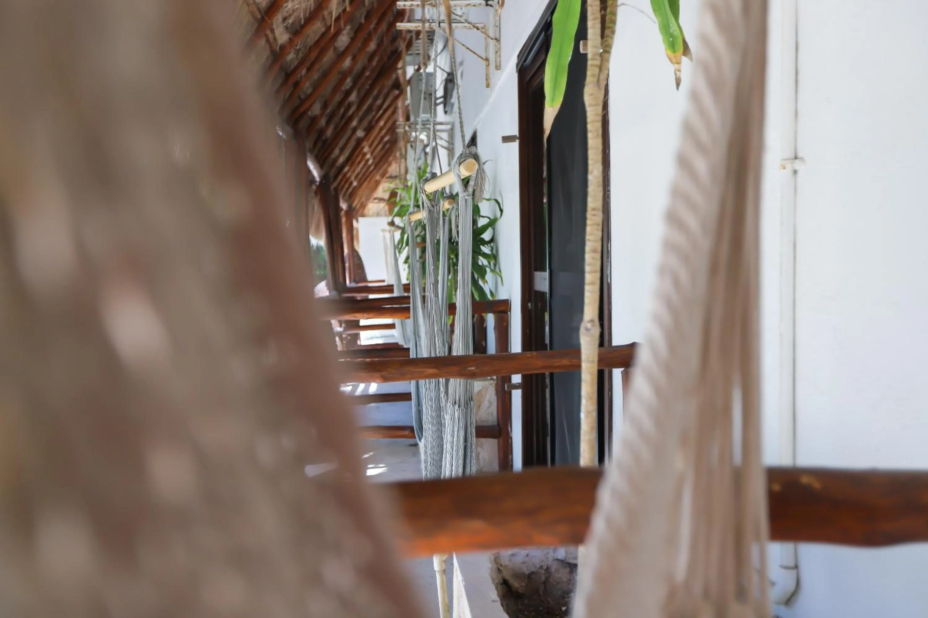 Balcony/Terrace in 40 Cañones