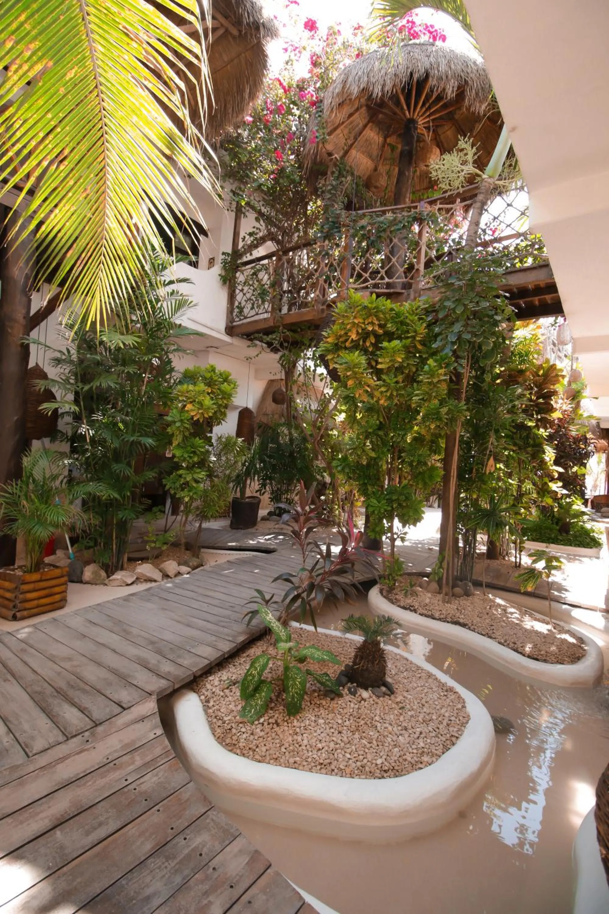 Area and facilities in 40 Cañones