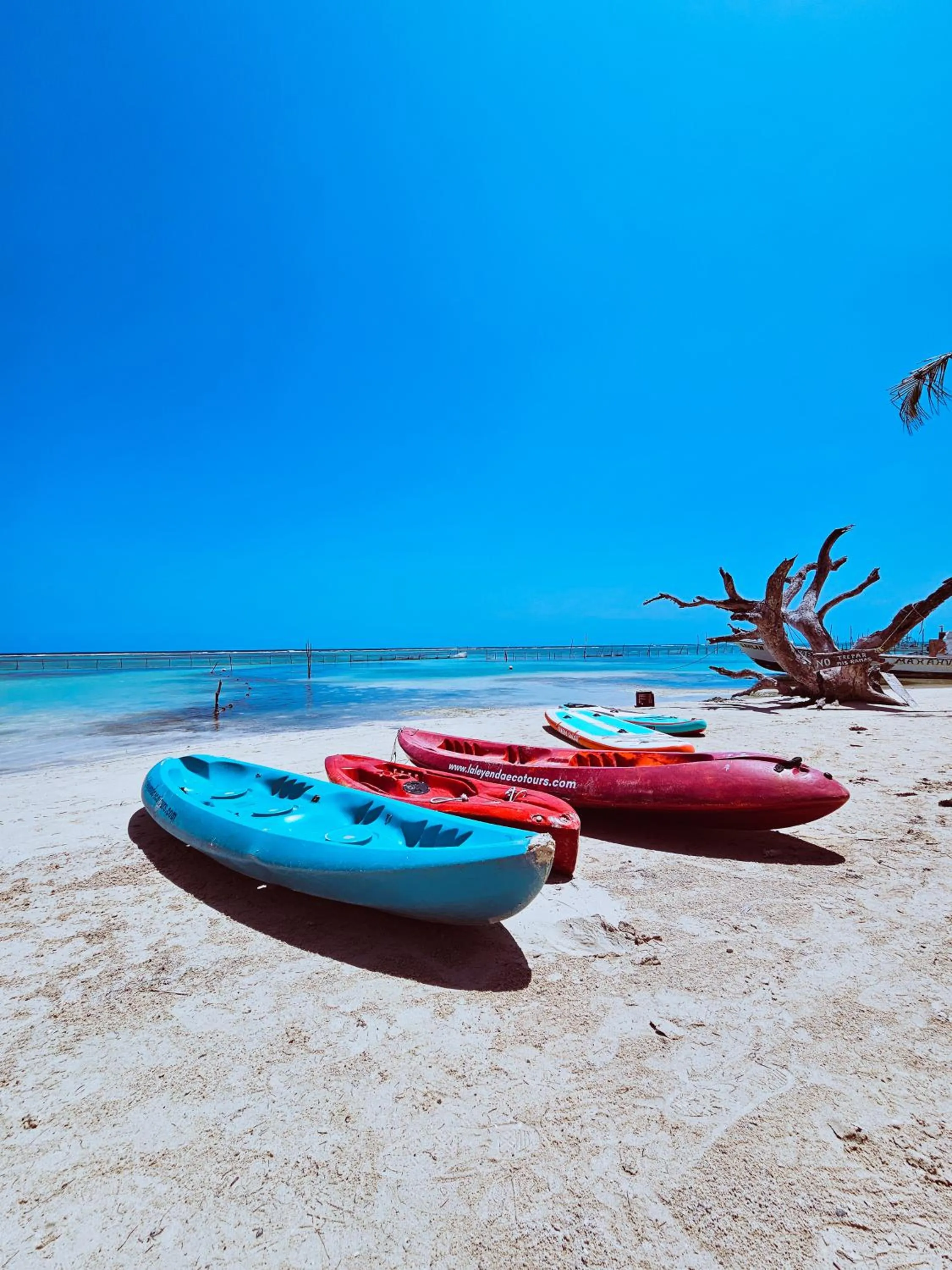 Beach in 40 Cañones