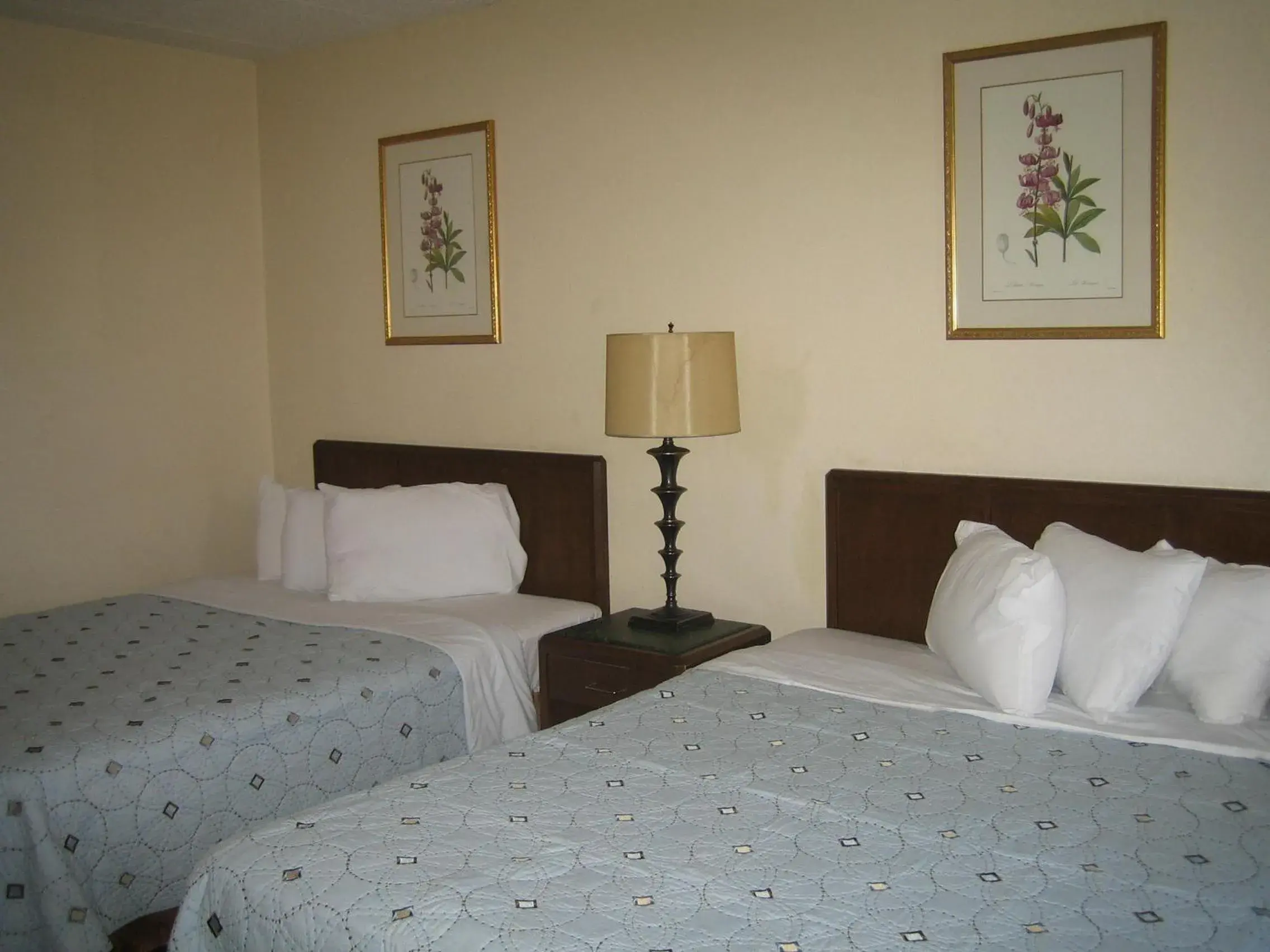 Bedroom, Bed in Knights Inn Litchfield Bedroom, Bed in Knights Inn Litchfield