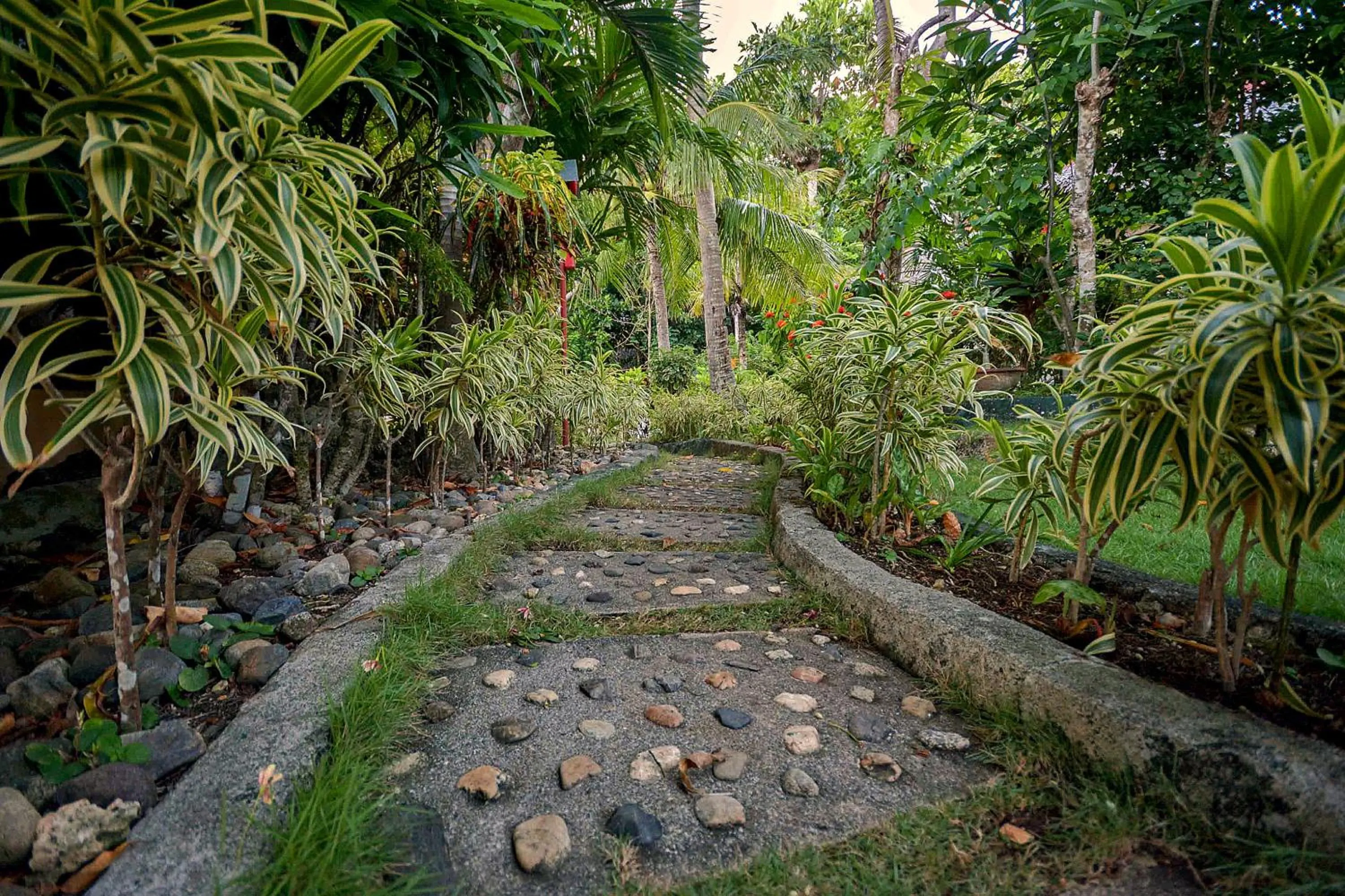 Garden in Ralph's Place