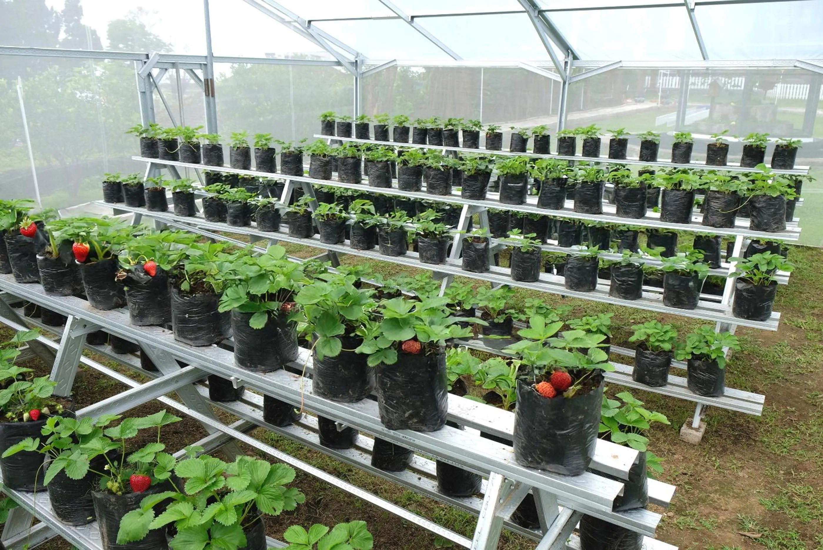 Children play ground in Surya Hotel & Cottages Prigen