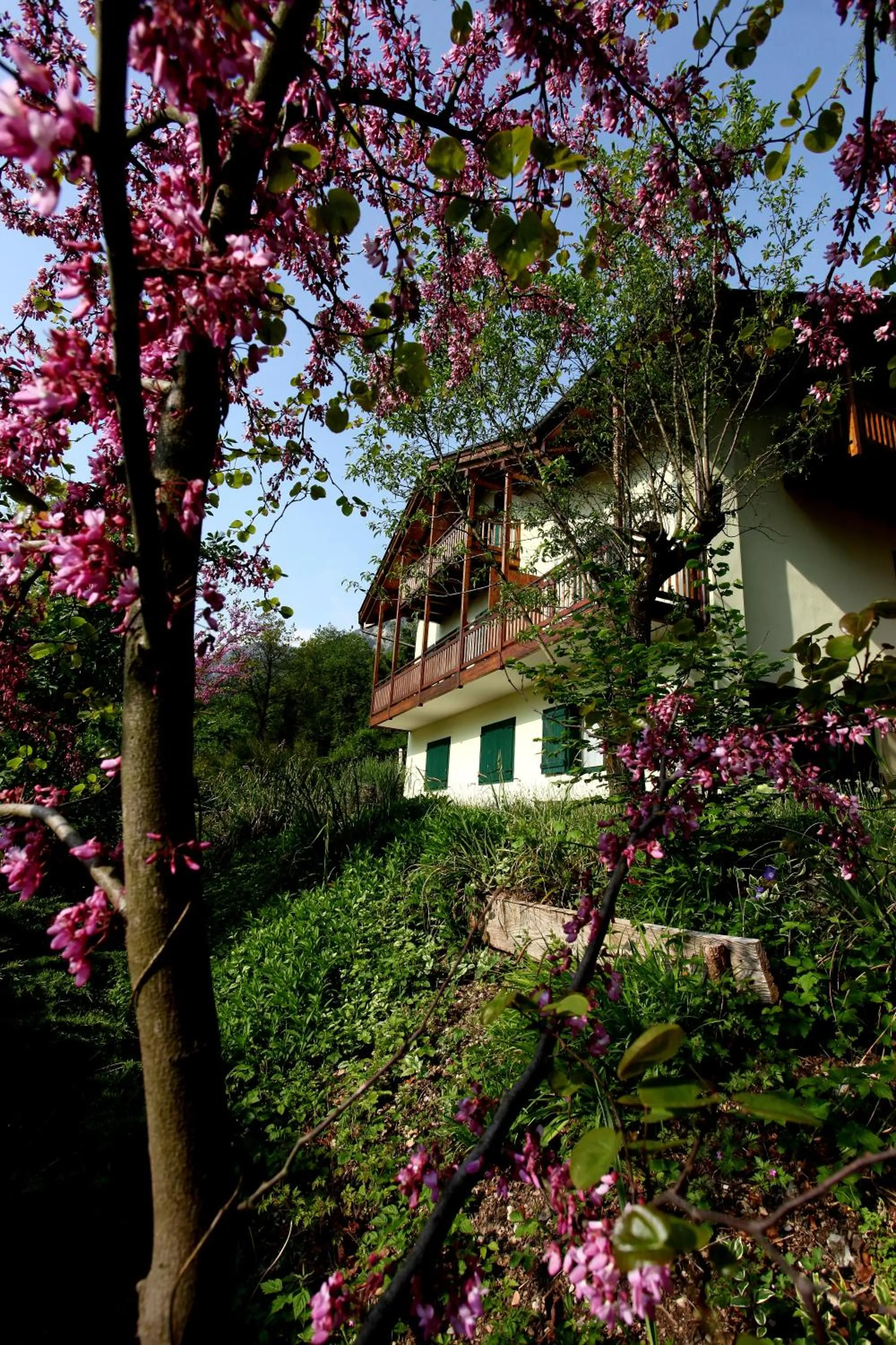 Property building in Al Trovante - Gardaslowemotion