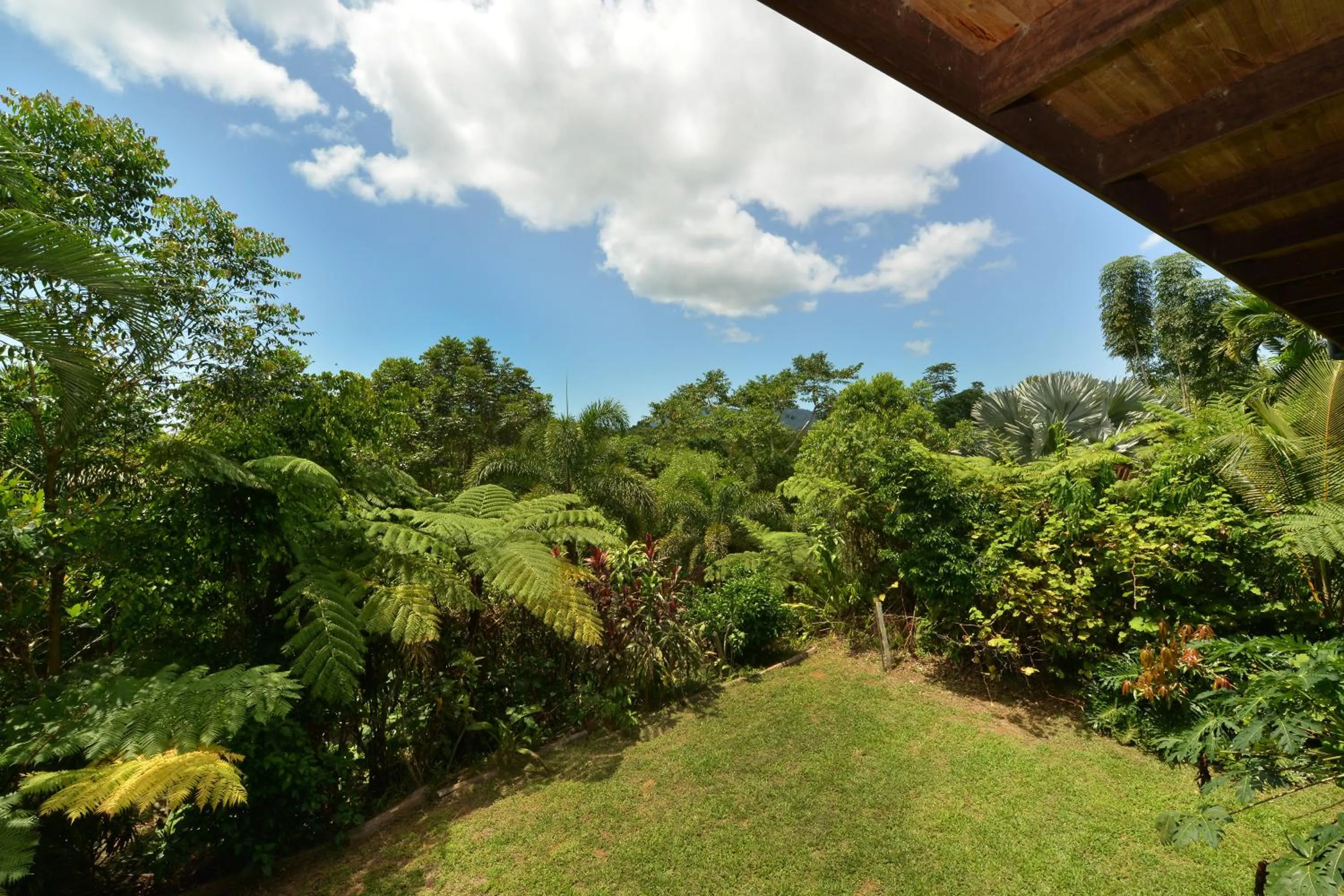 Natural landscape in Tea Tree Cottage