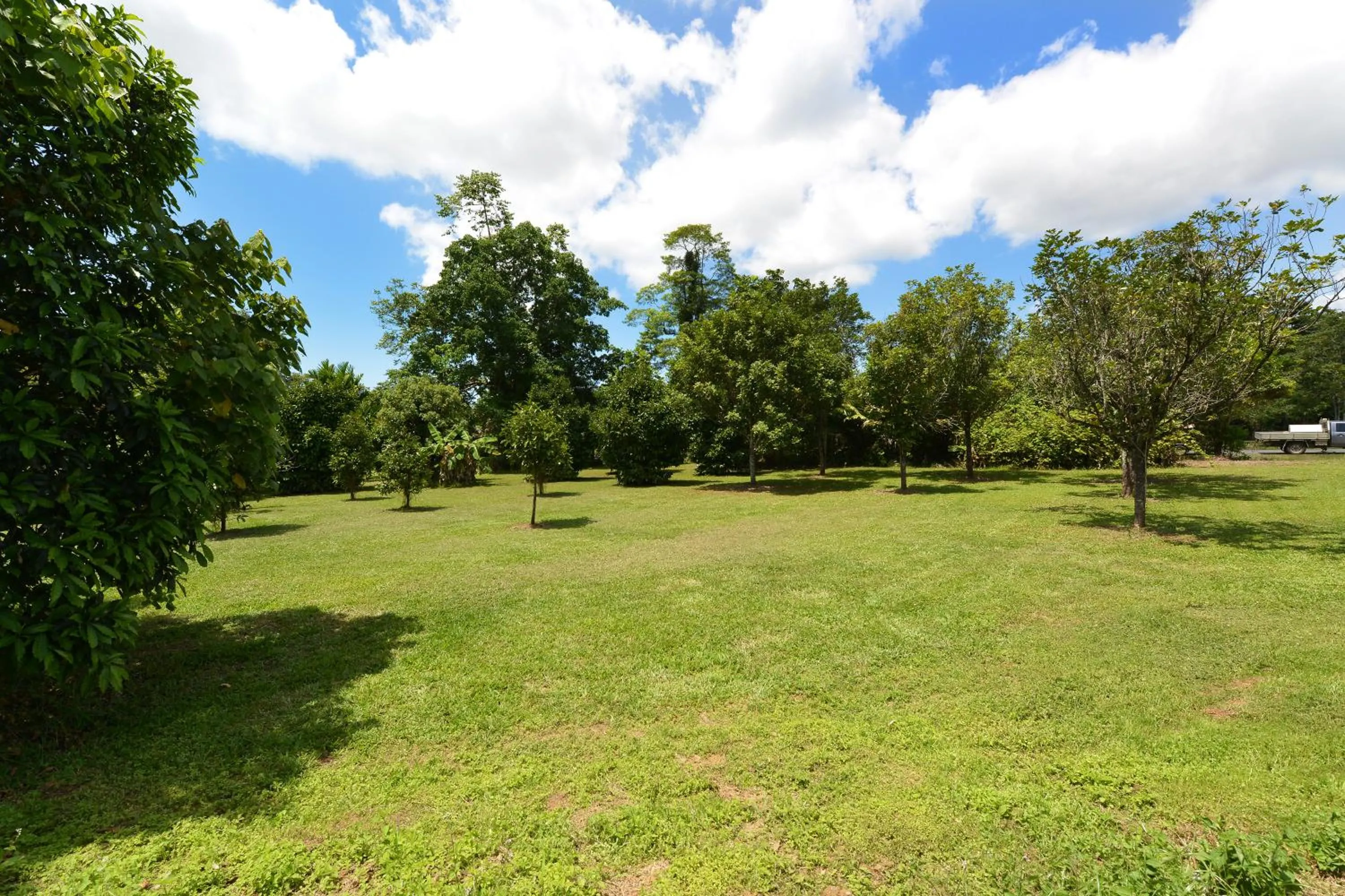 Garden view in Tea Tree Cottage